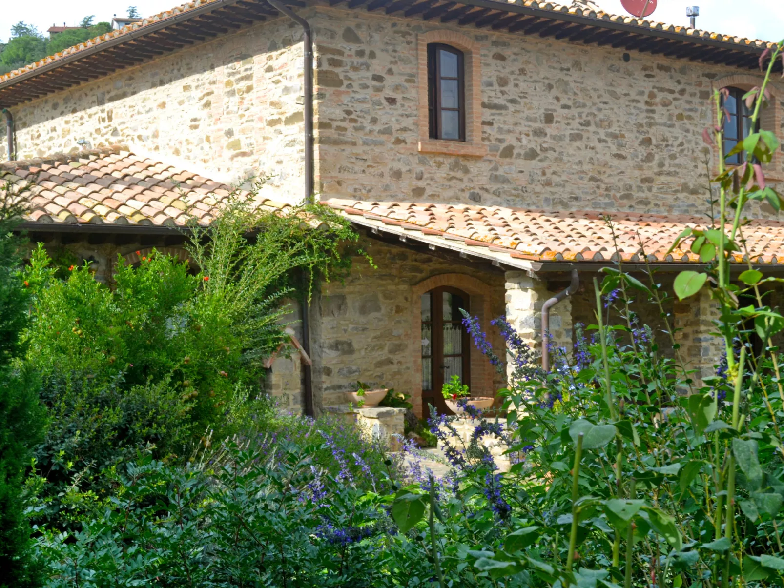 Montecucco Winery-Outside