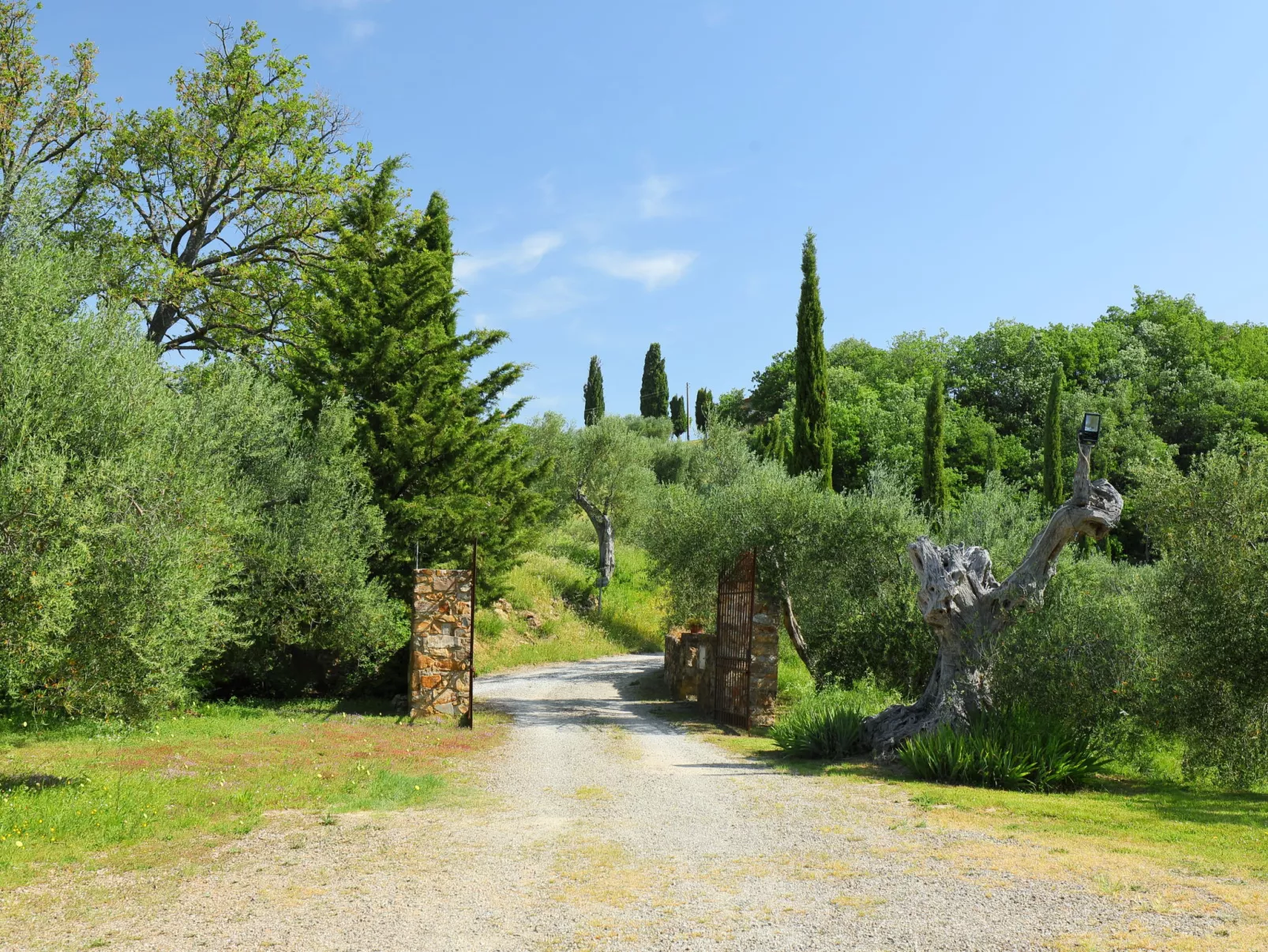 Poggio Velluto-Outside