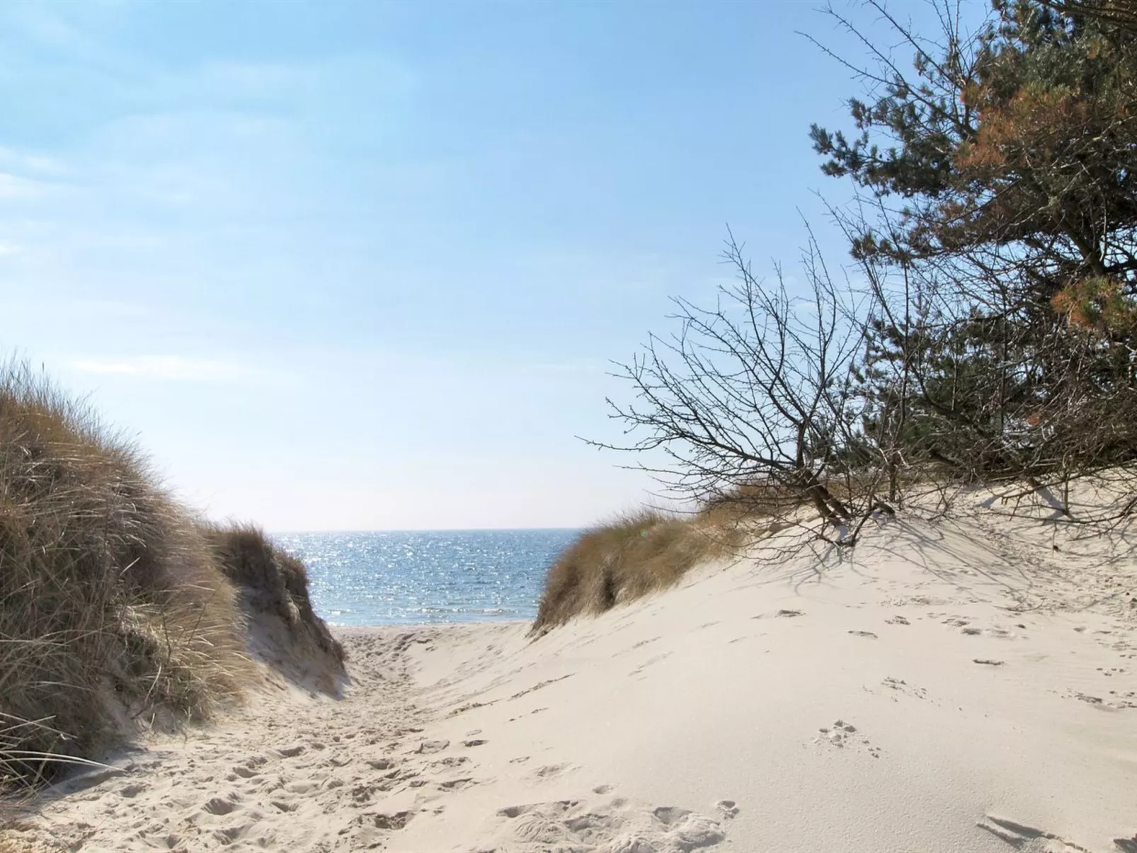 "Nikoletta" - 250m from the sea-Outside