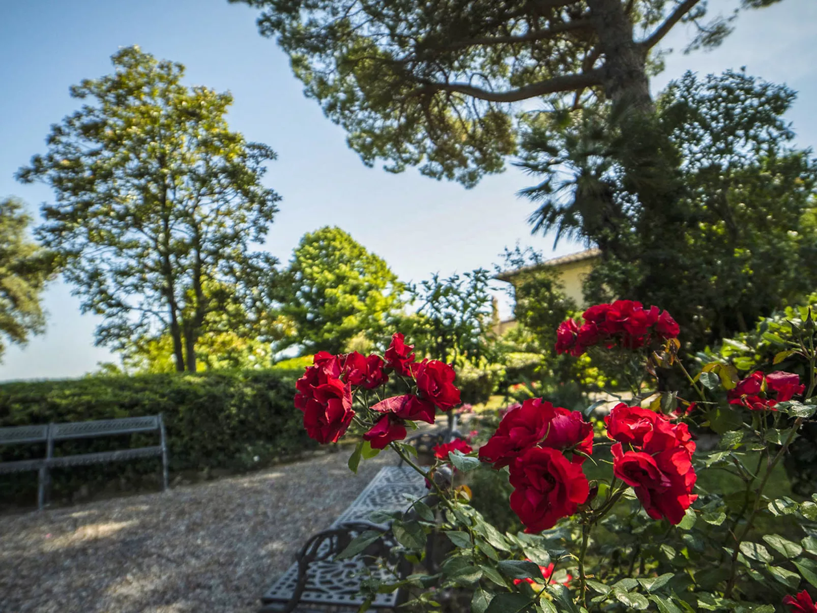 Villa La Guardia Vecchia-Dehors