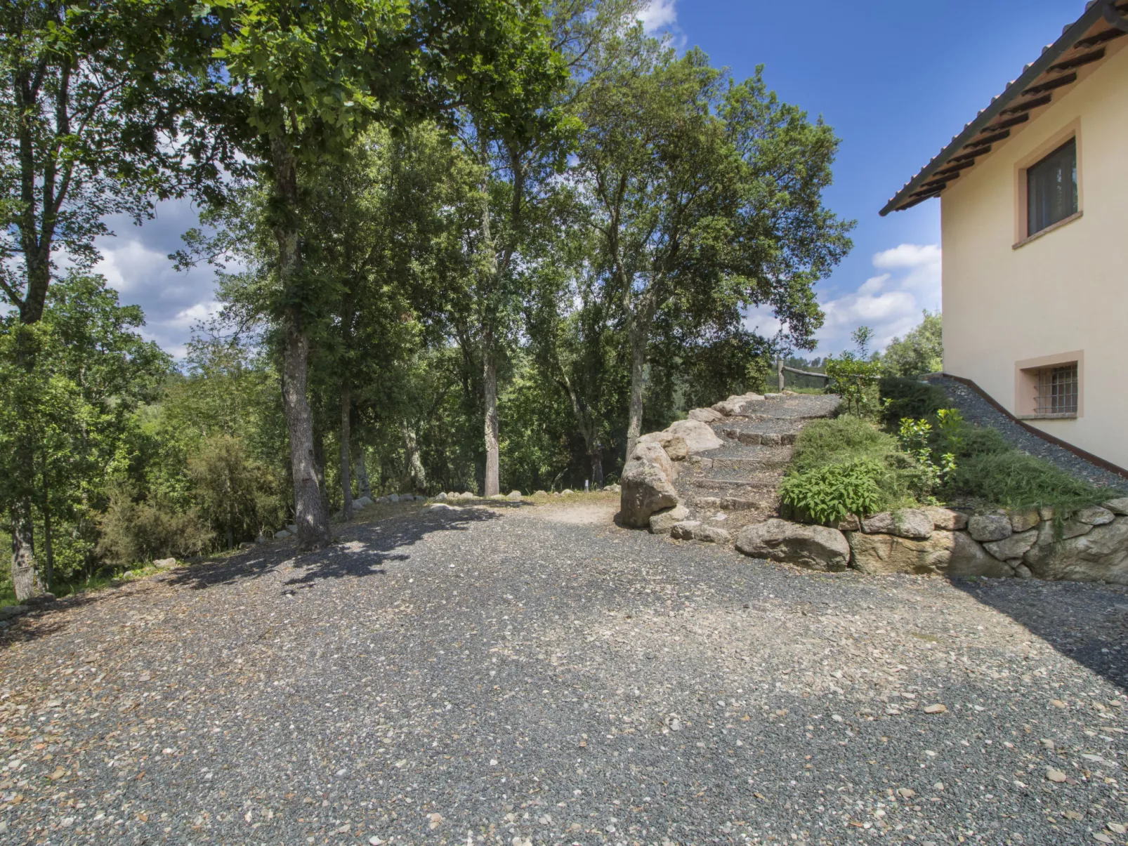 Casa la Selvolina-Outside