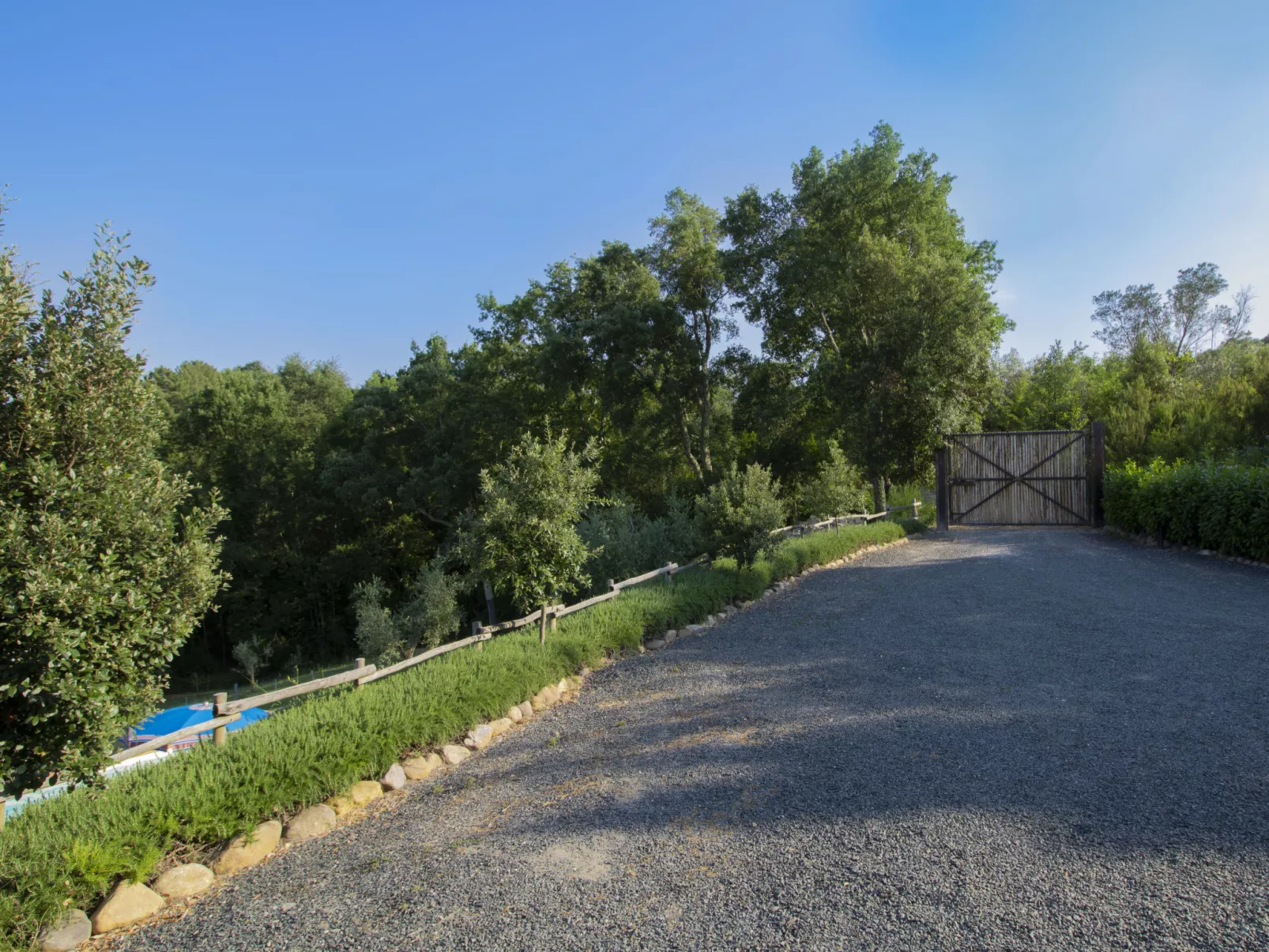 Casa la Selvolina-Outside