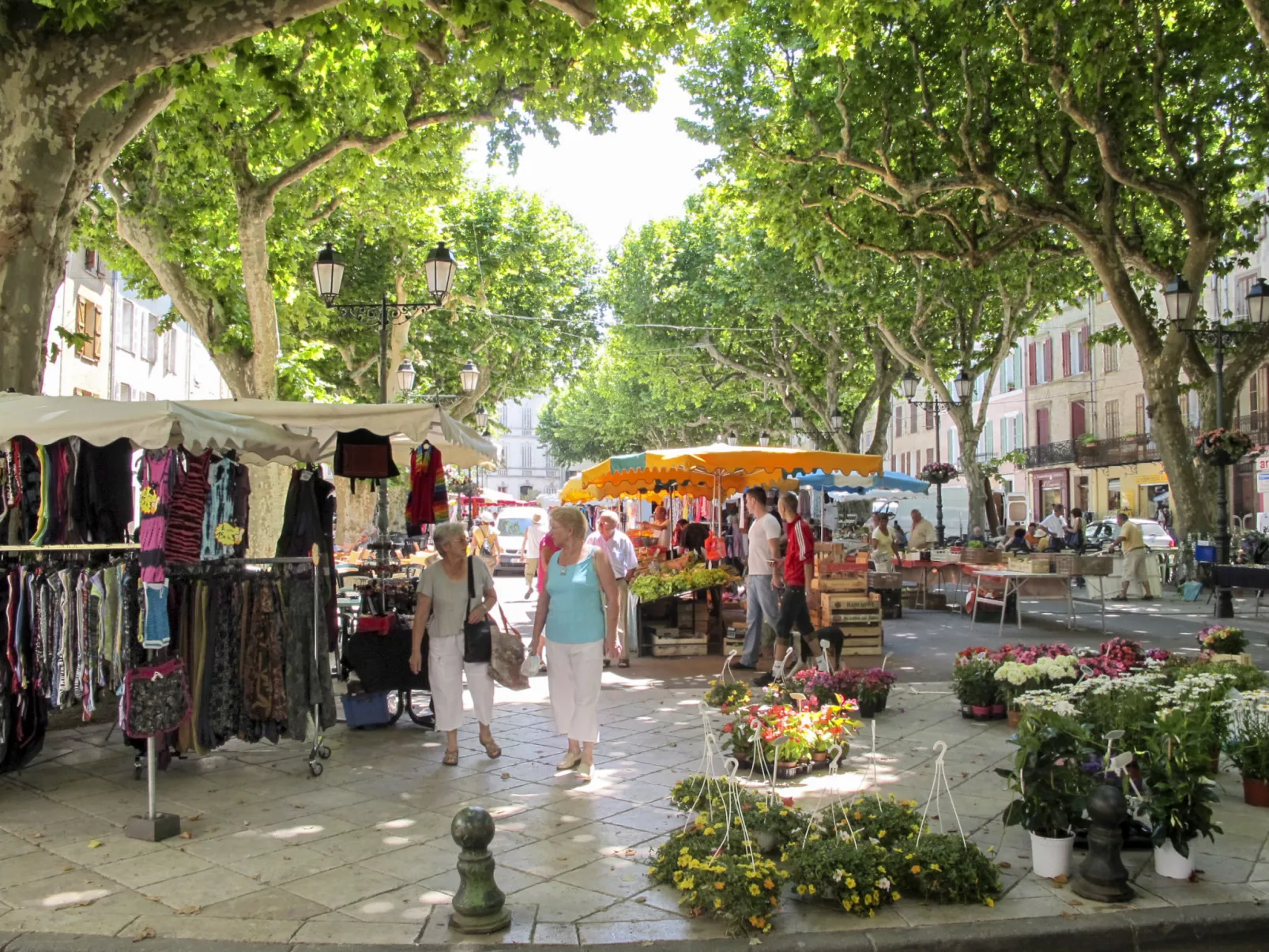 Les Oliviers-Area