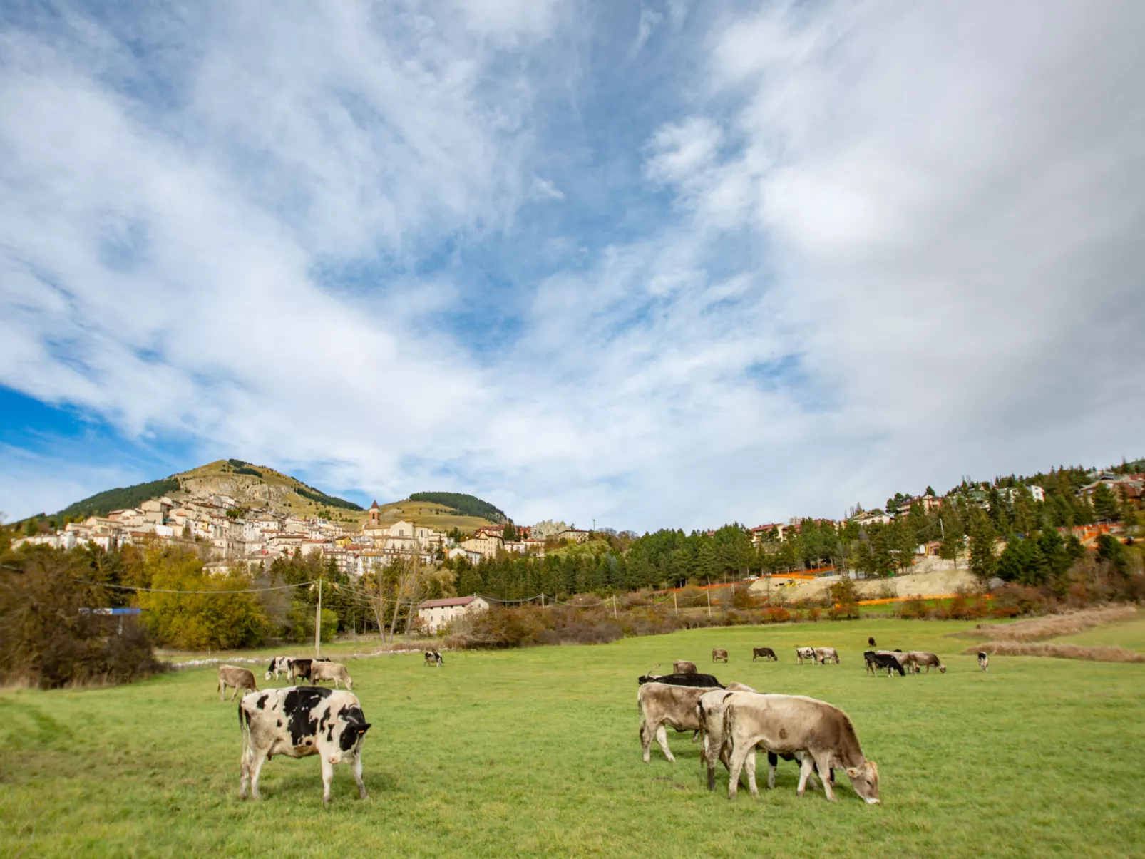 La Collina-Dehors