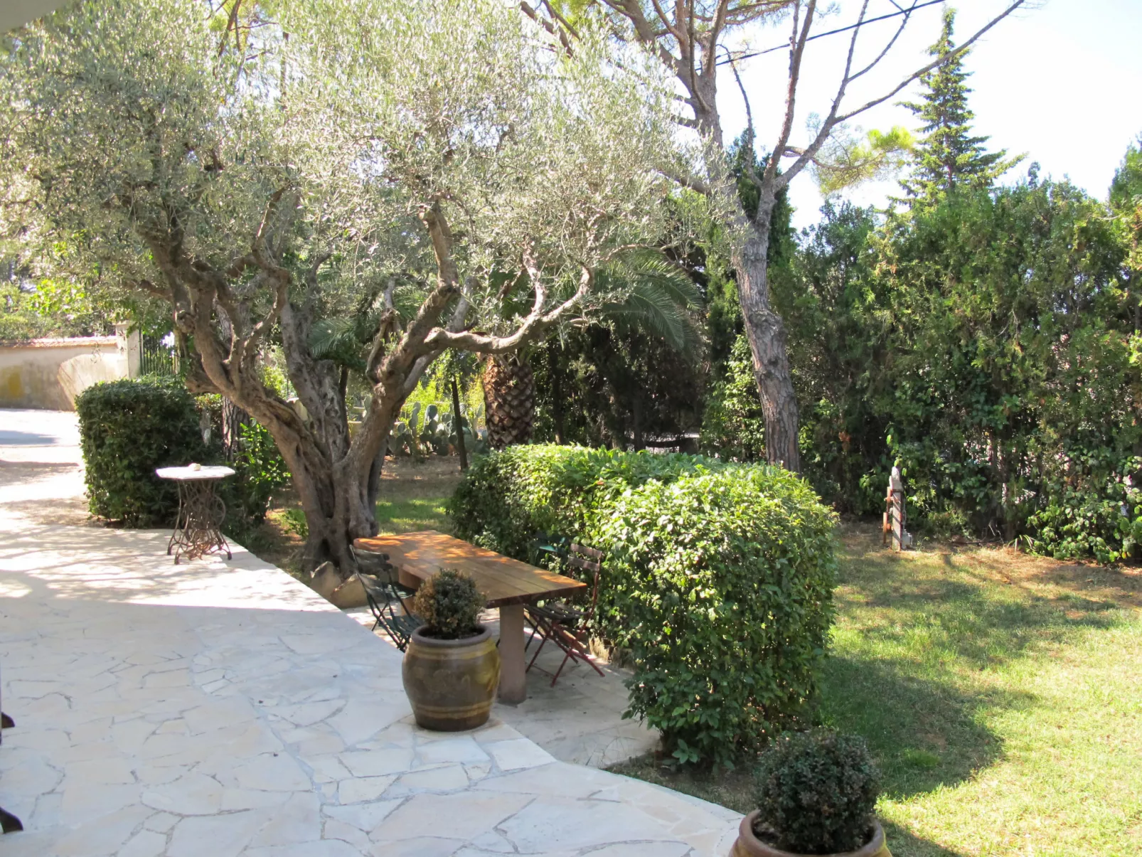 Liska Blu-Outside