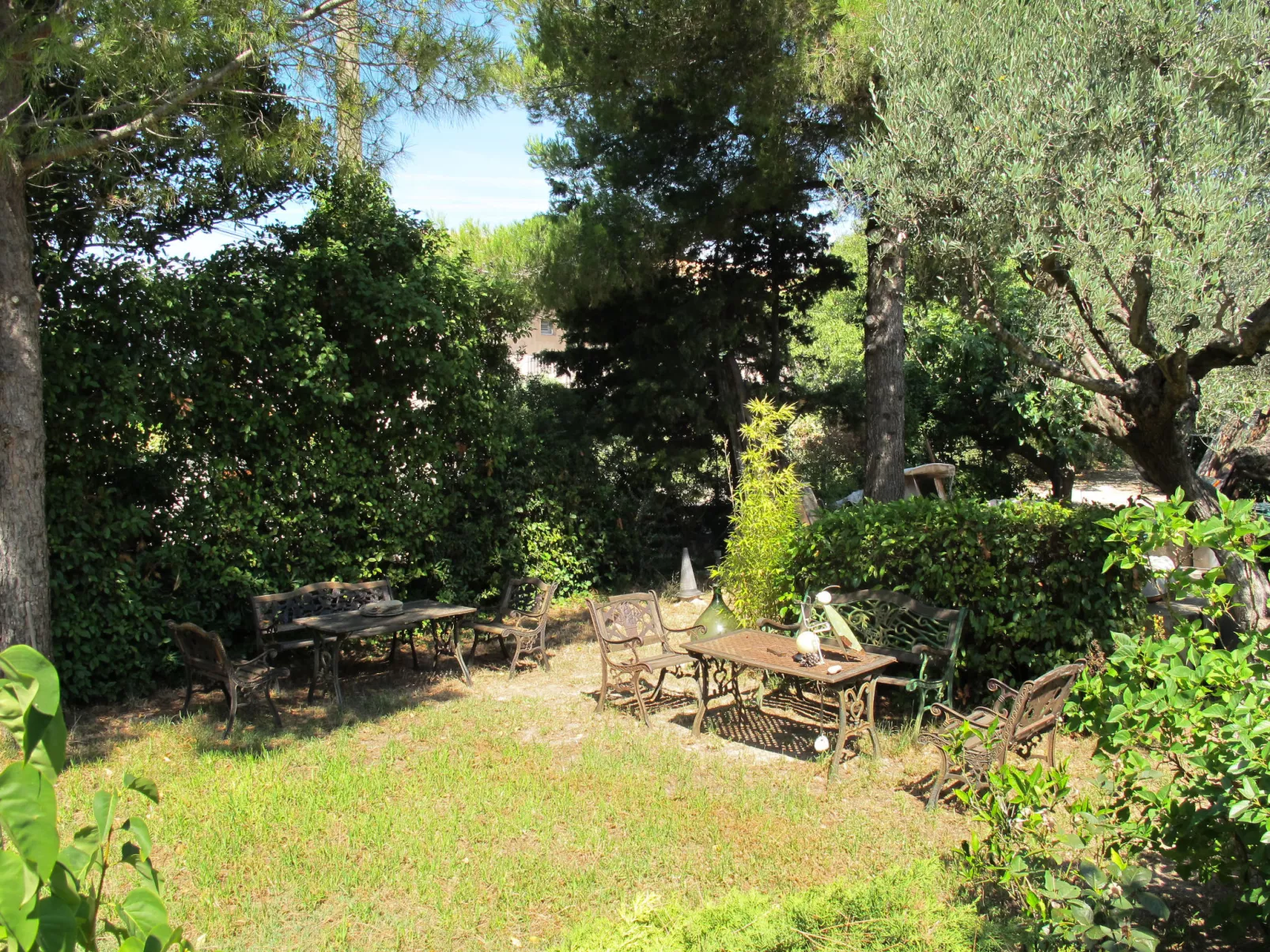 Liska Blu-Outside