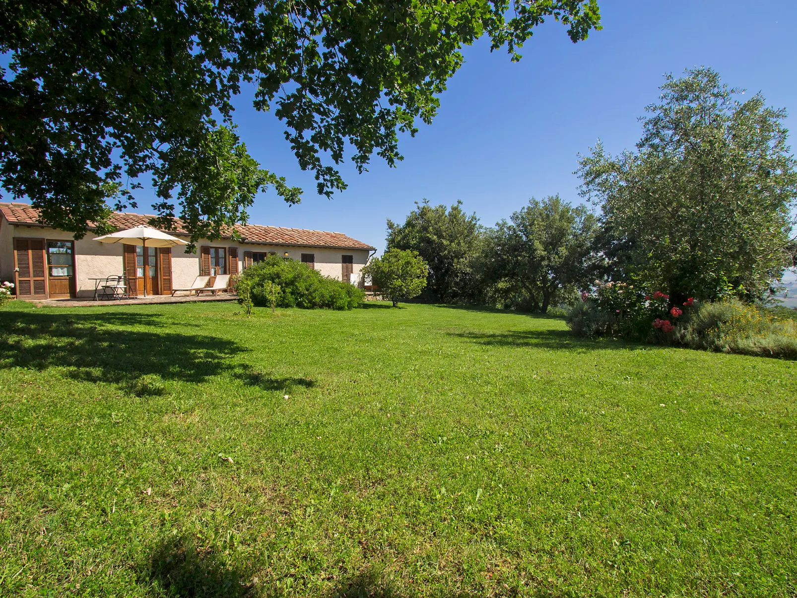 Ciliegiolo-Outside