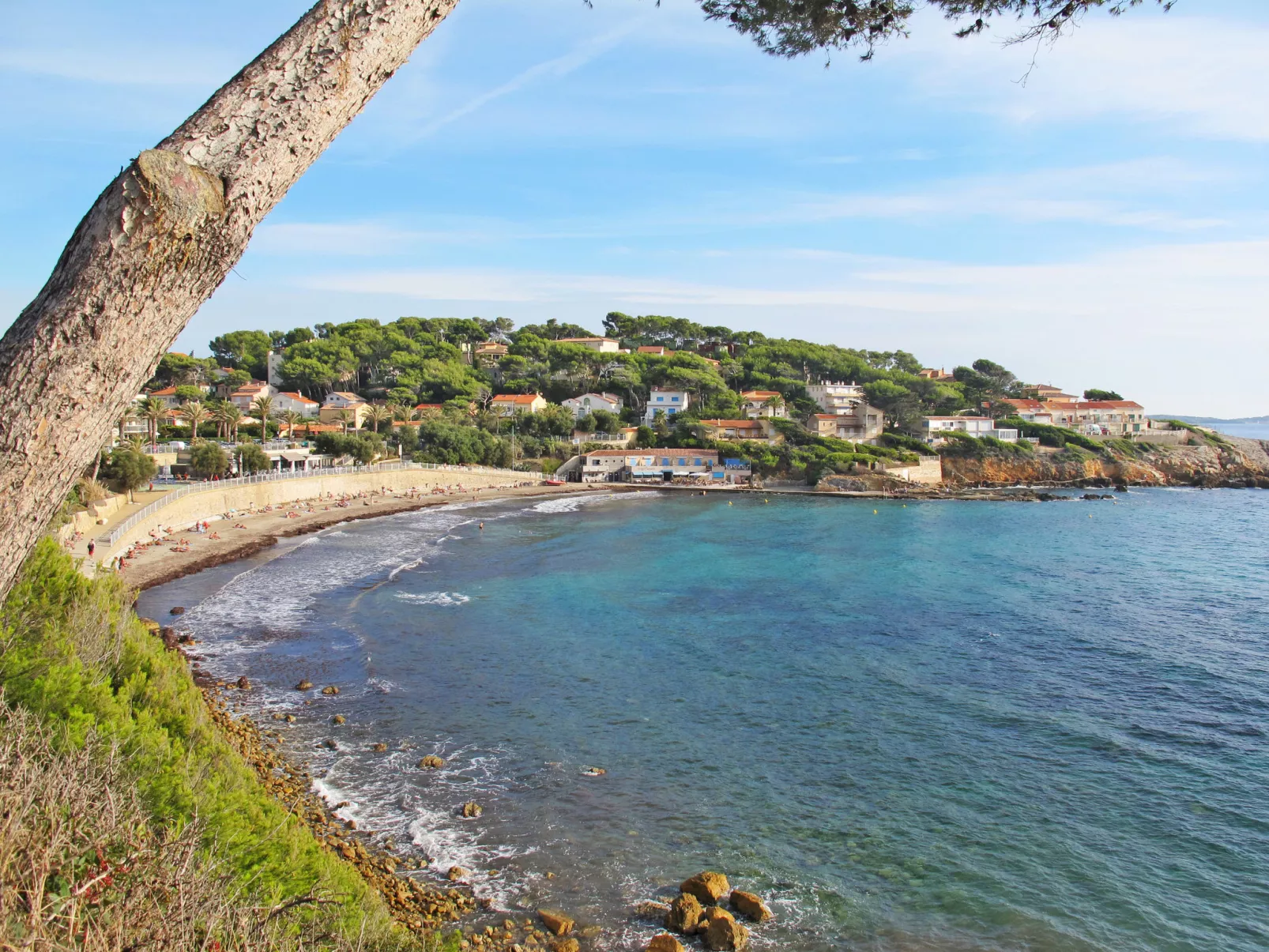 Liska Blu-Area