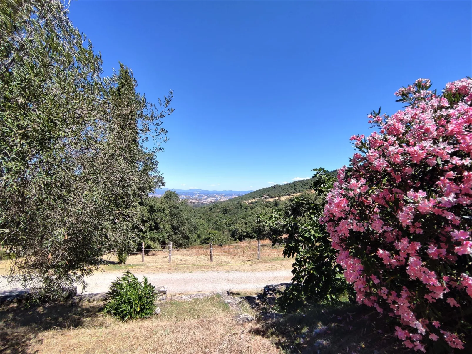 Casalini-Outside
