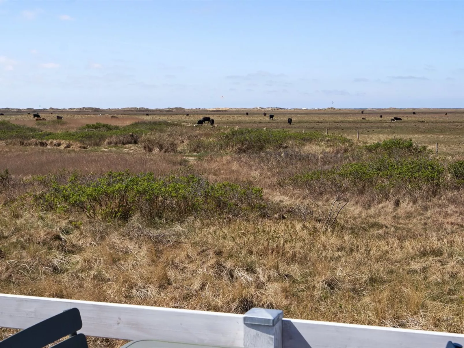 "Blomma" - 350m from the sea-Outside