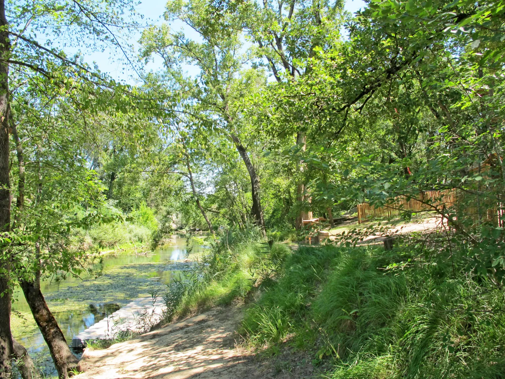 L'Isula-Area