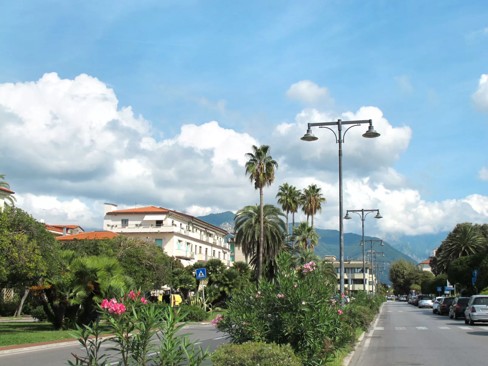 Colli-Area