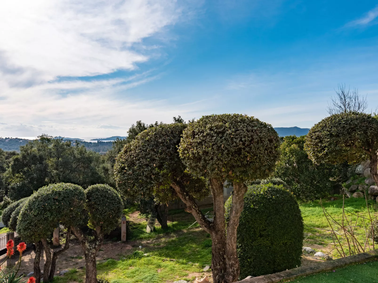 Villa Sognu-Outside