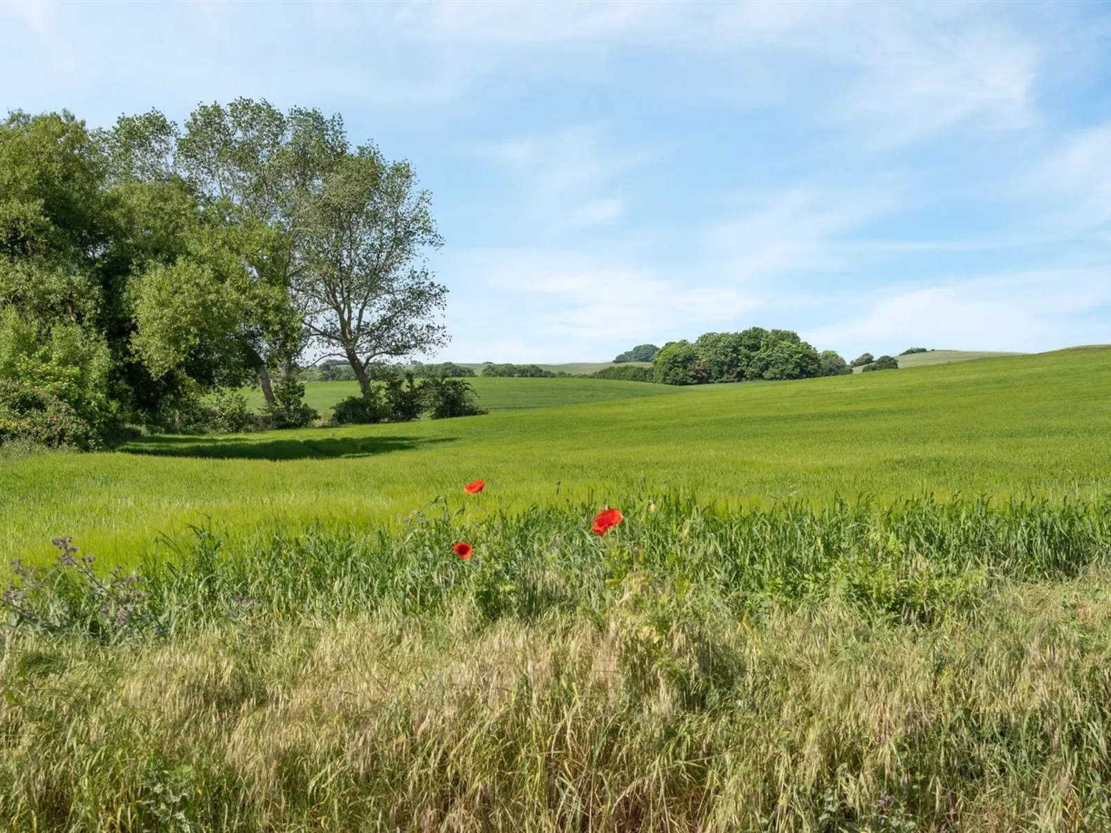 "Bitha" - 400m from the sea-Outside