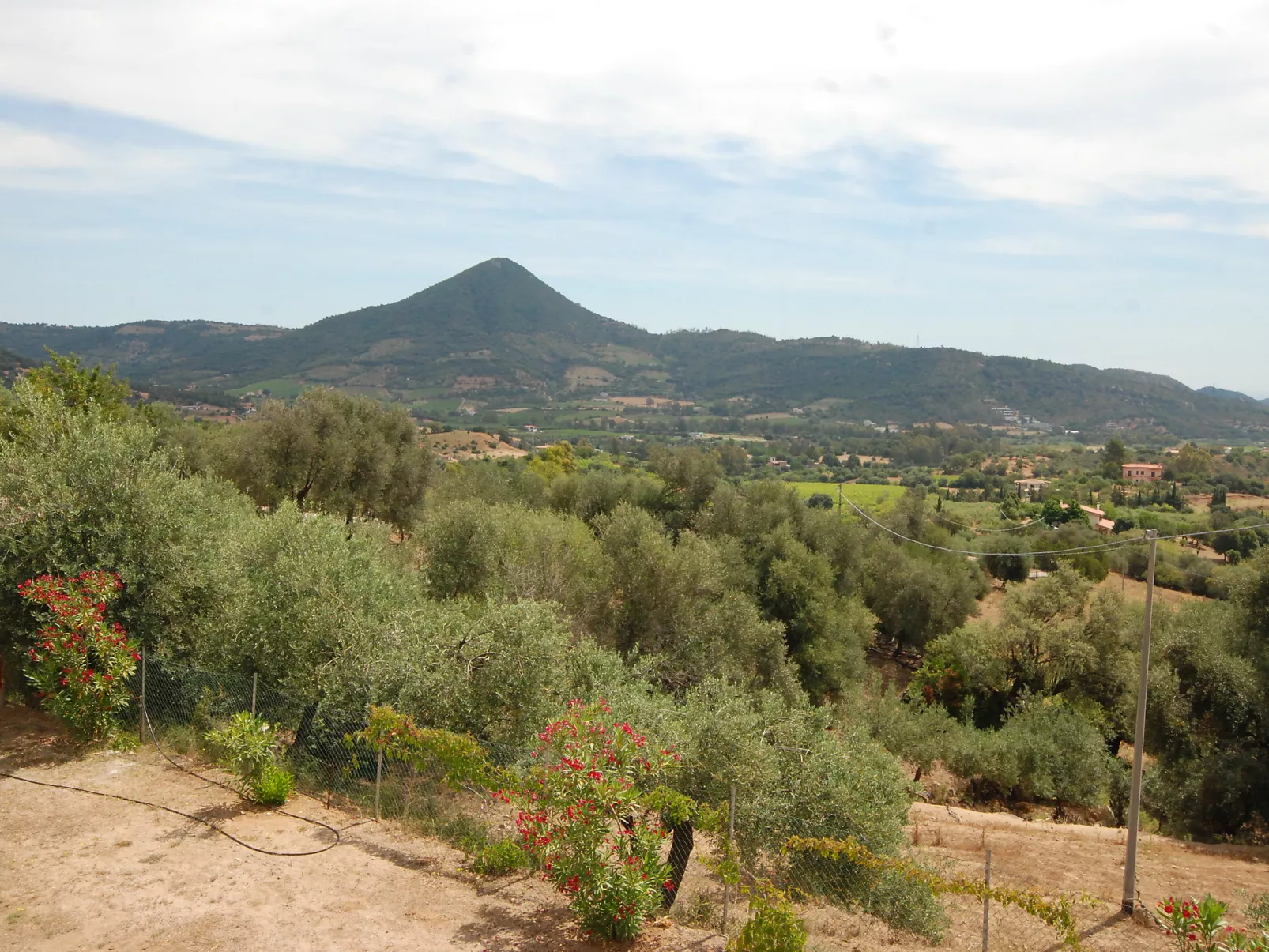 Is Murtas-Dehors