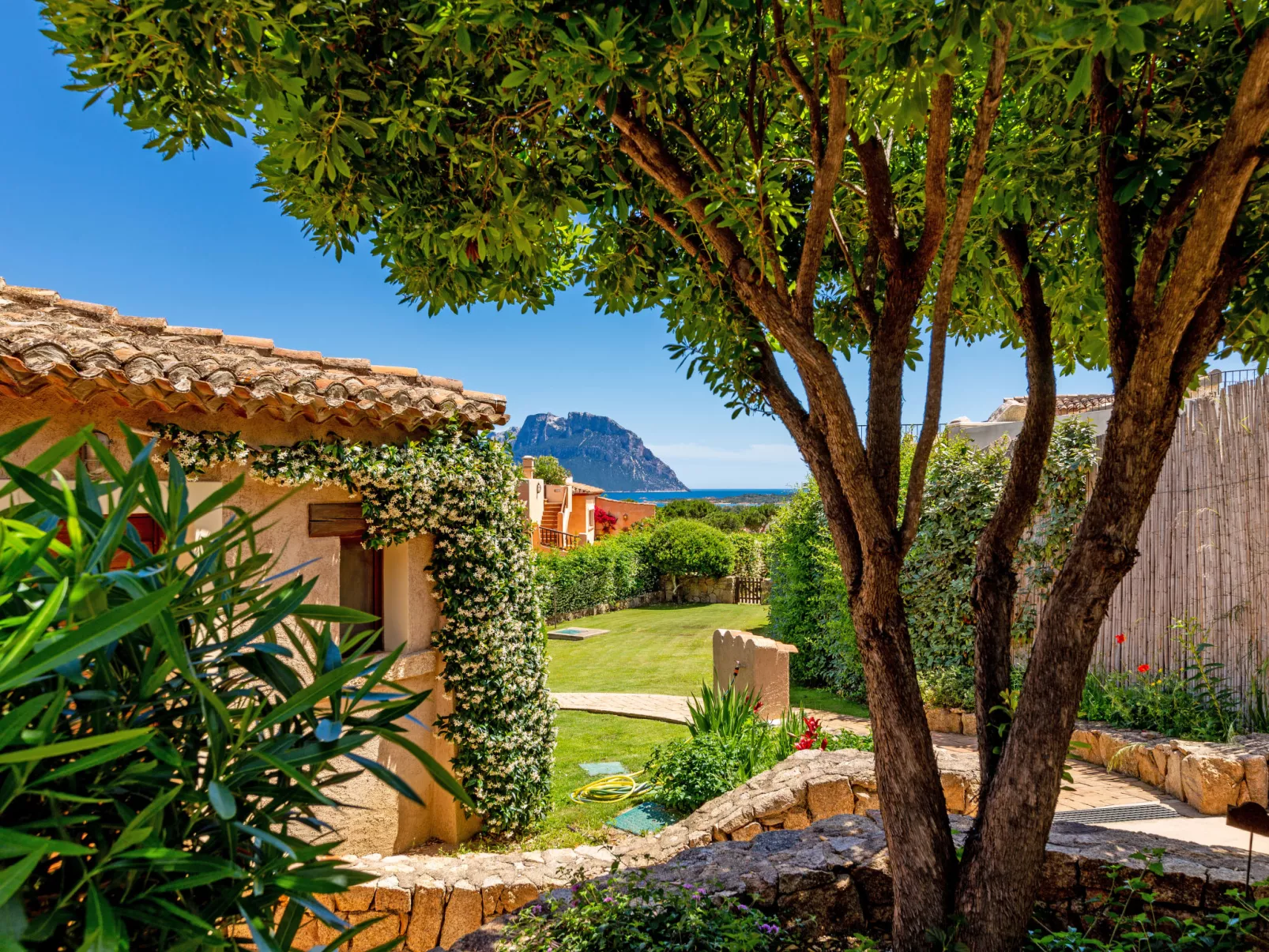 Erica 21 - Vista Village-Dehors