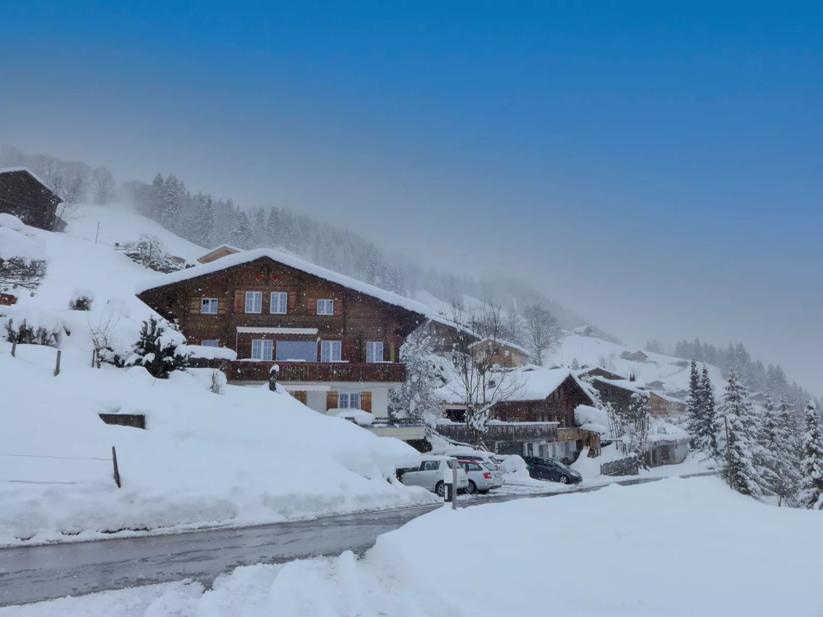 Chalet Seeberg-Draußen