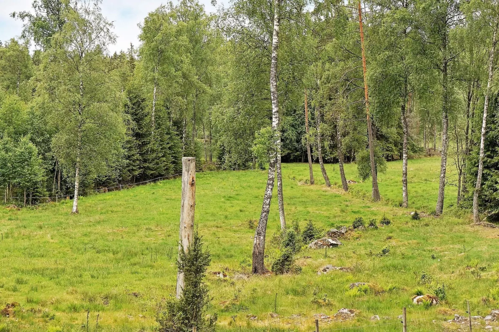 6 person holiday home in SÄVSJÖ-Outdoor