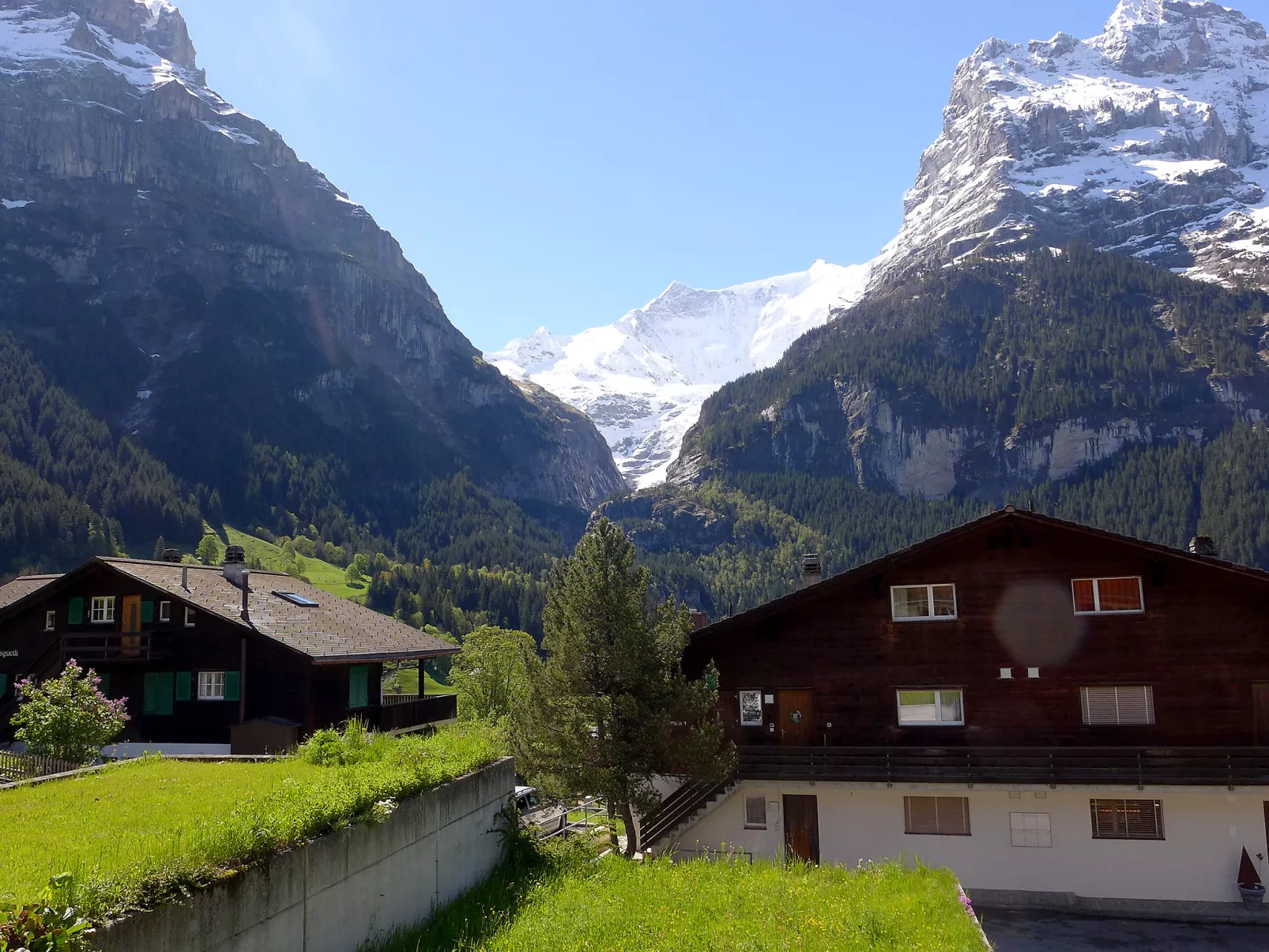 Chalet Almis-Bödeli-Outside
