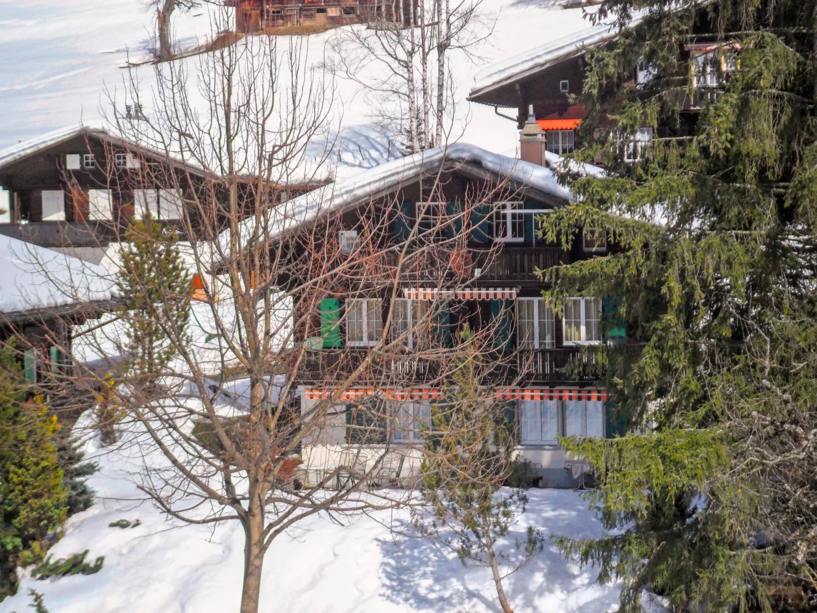 Chalet Spassvogel-Dehors