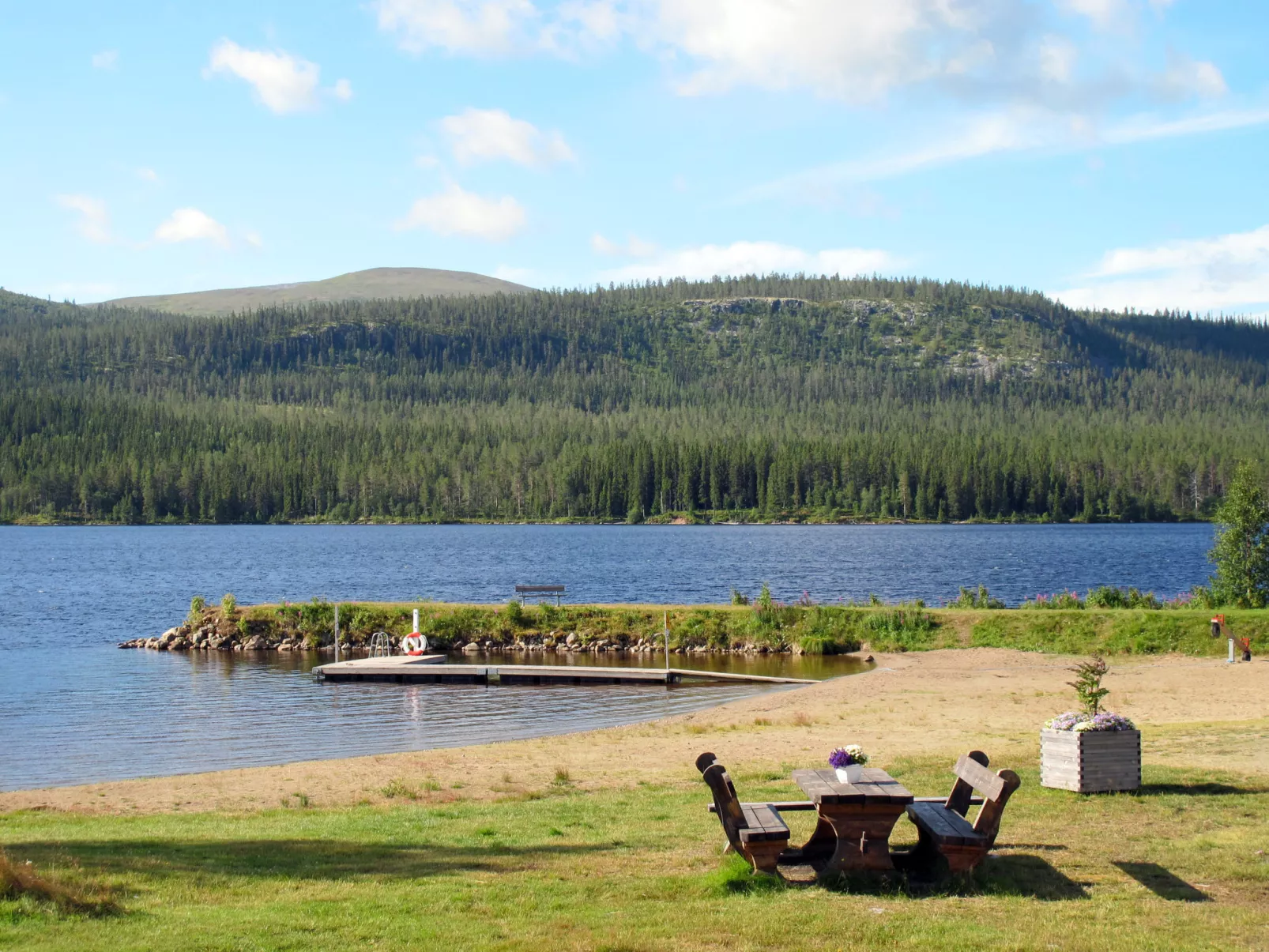 Lofsdalen Fjällbjörken-Outside