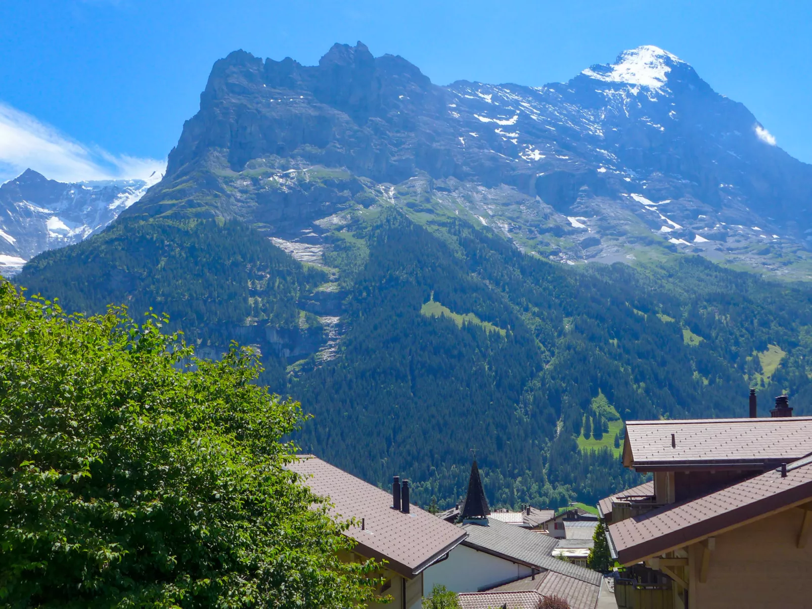 Chalet Albi-Outside