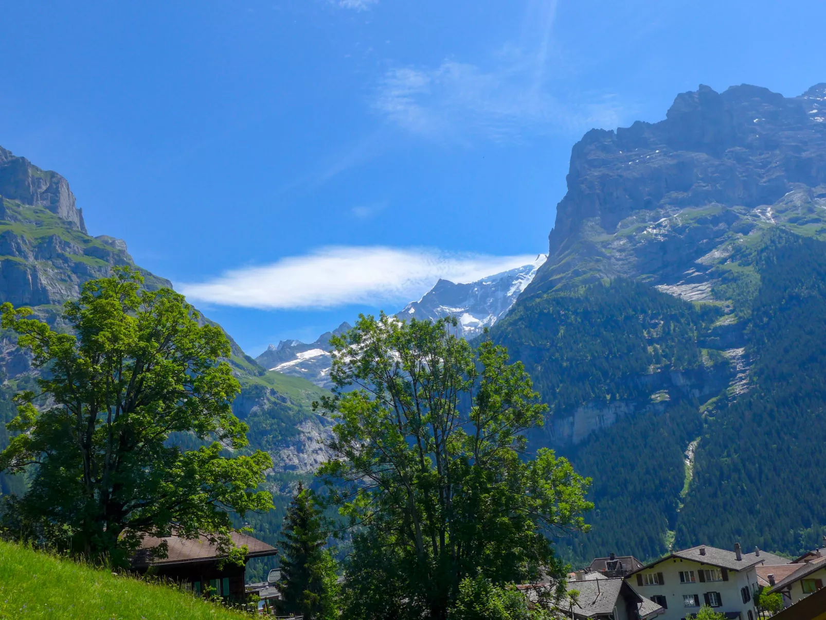 Chalet Albi-Outside