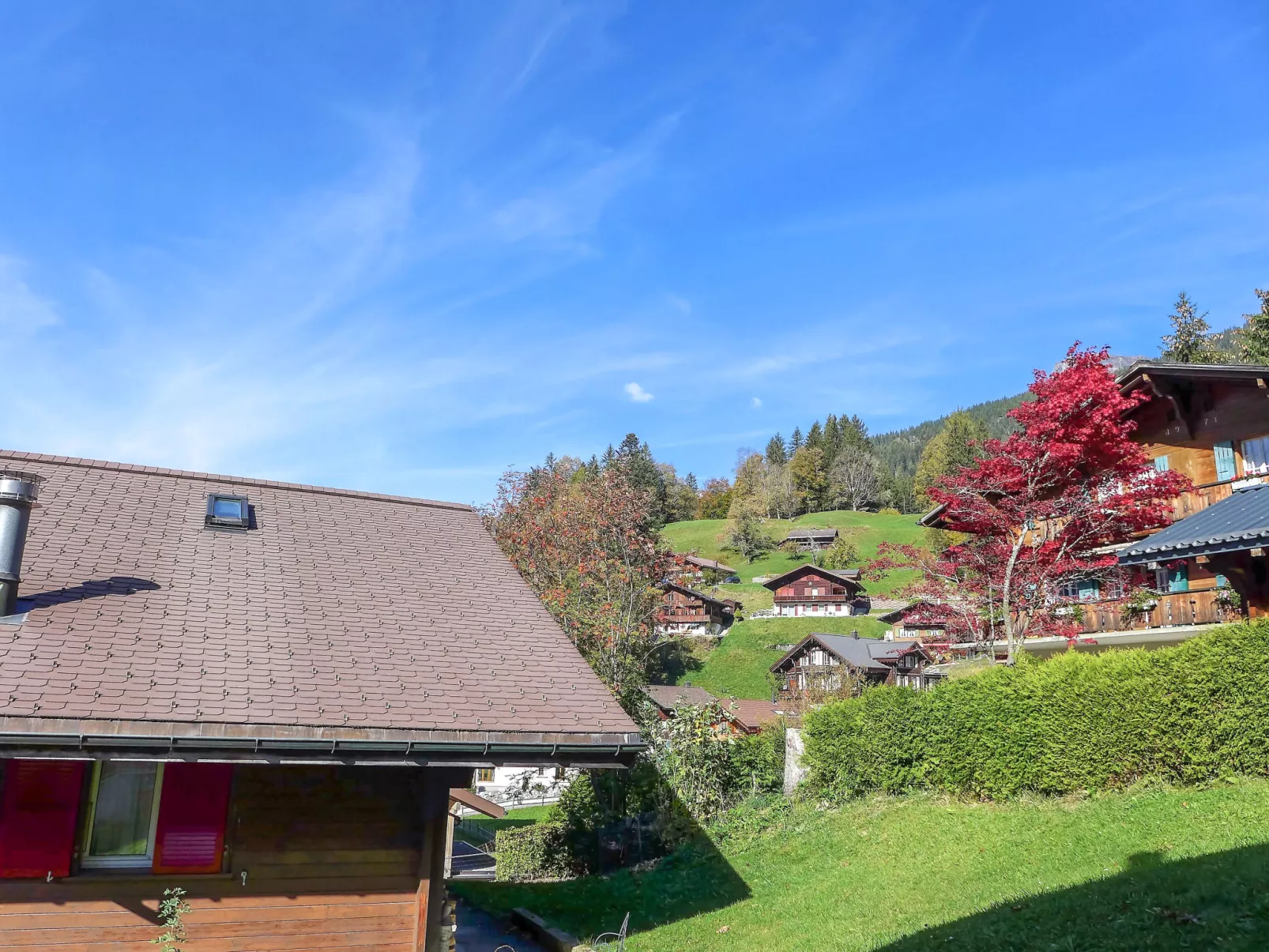 Chalet Albi-Outside