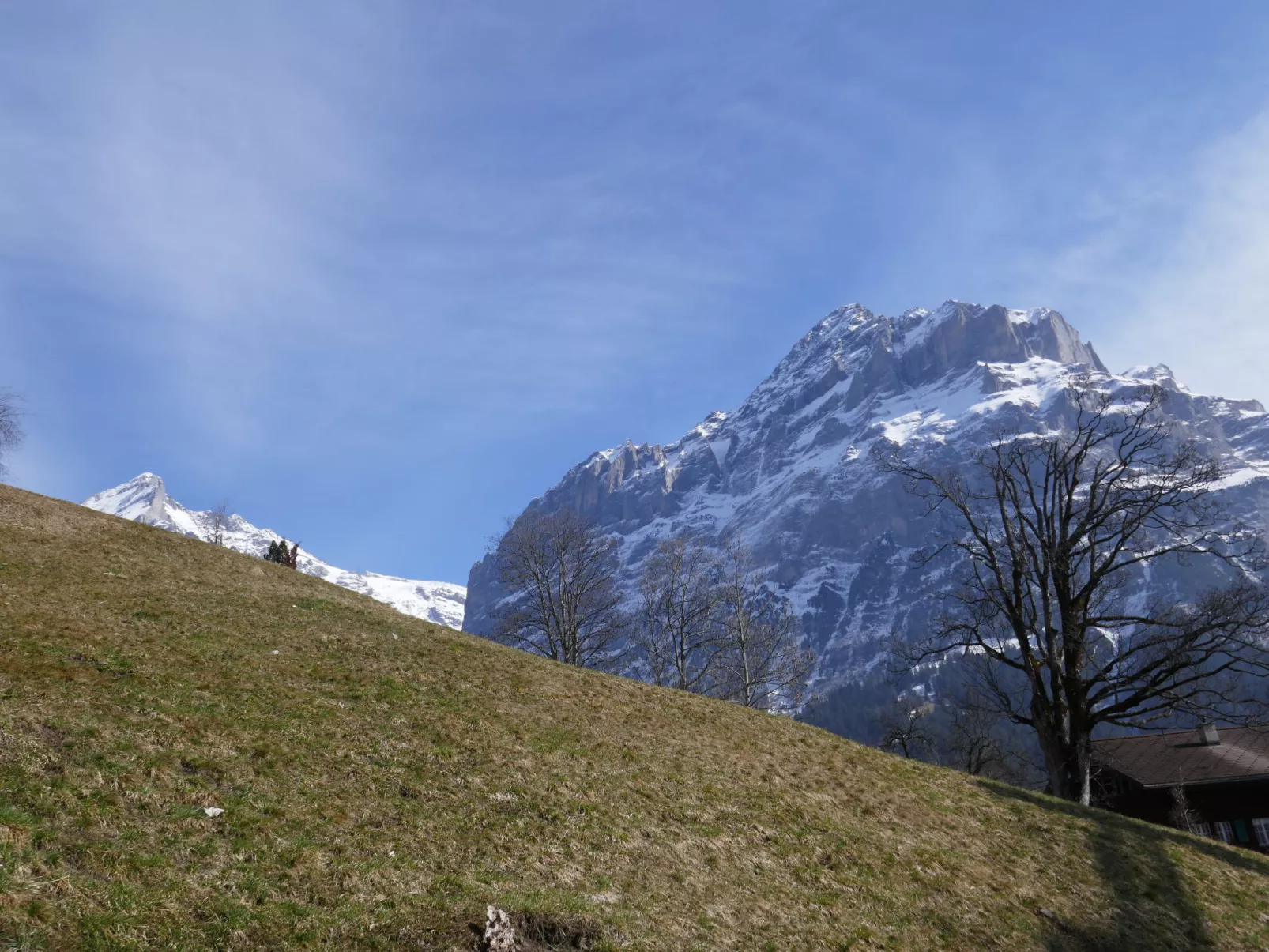 Chalet Albi-Outside