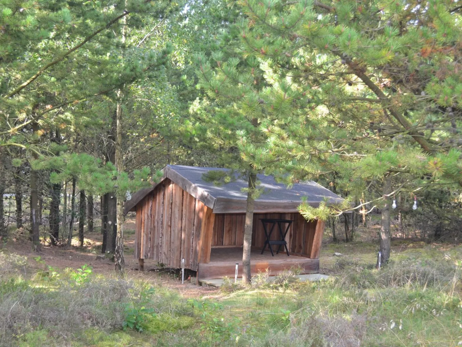 "Angret" - 3.5km from the sea-Outside
