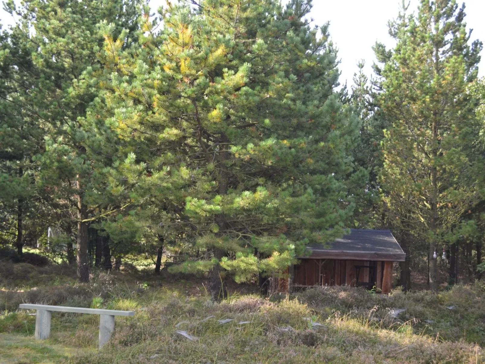 "Angret" - 3.5km from the sea-Outside