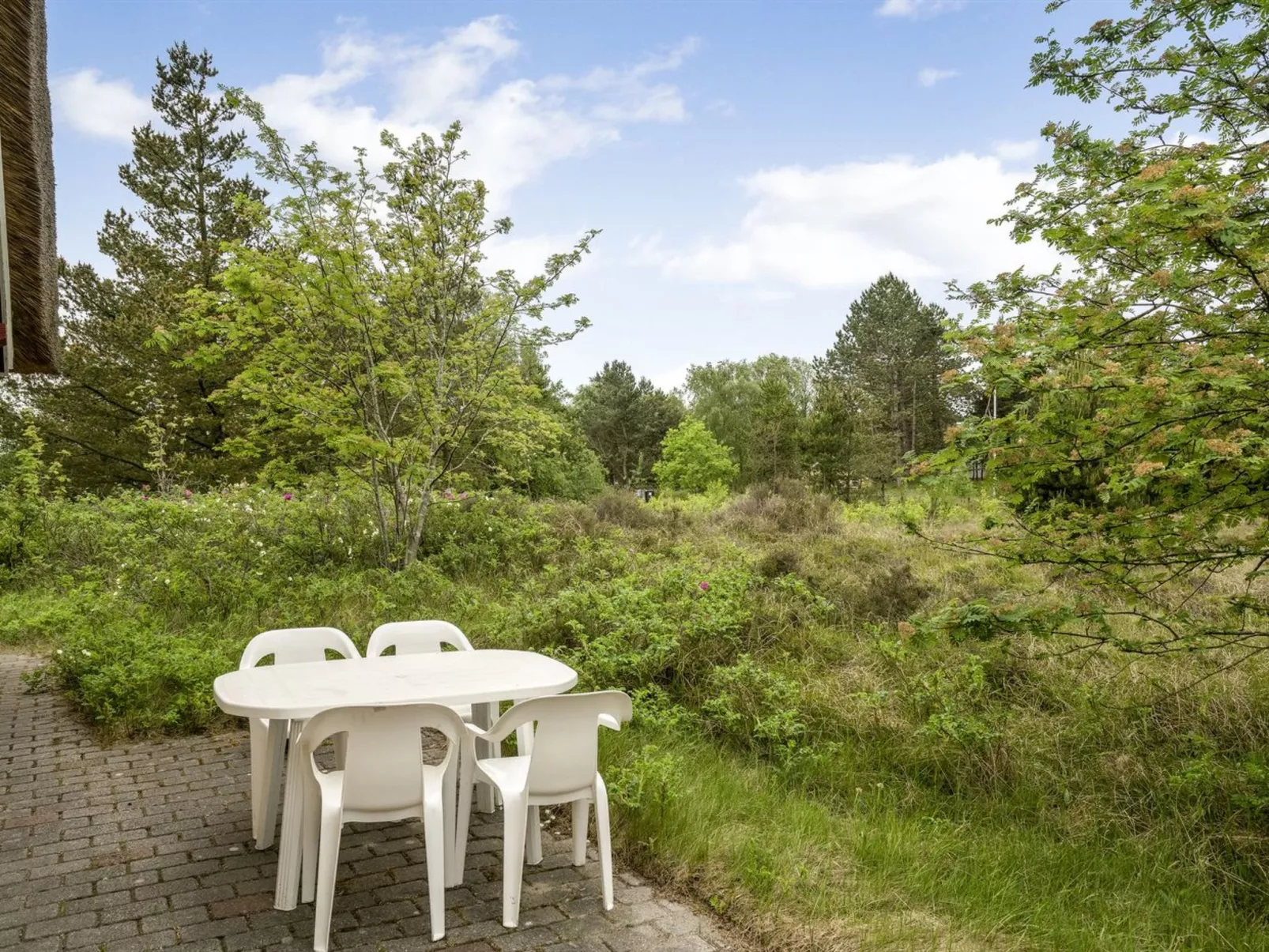 "Thorulf" - 3.5km from the sea-Outside