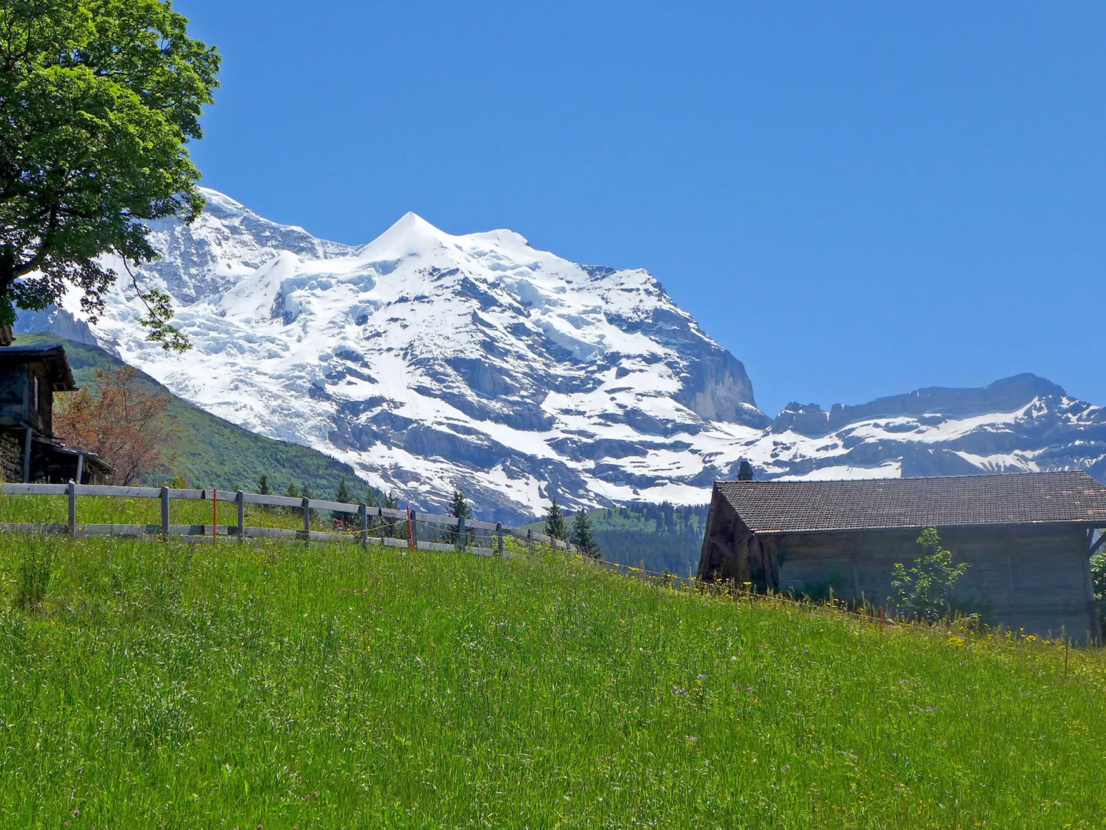 Tschingelhorn Apt. R-Outside