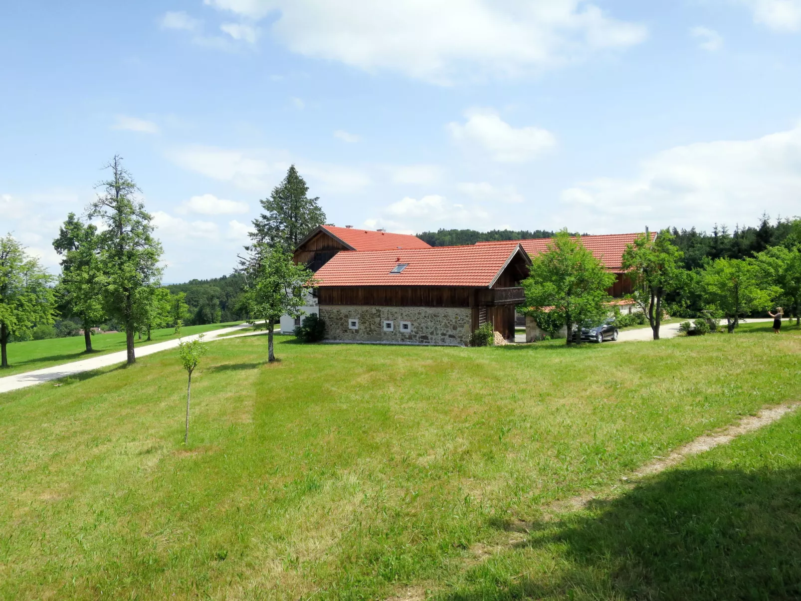 Lehner im Wald-Outside