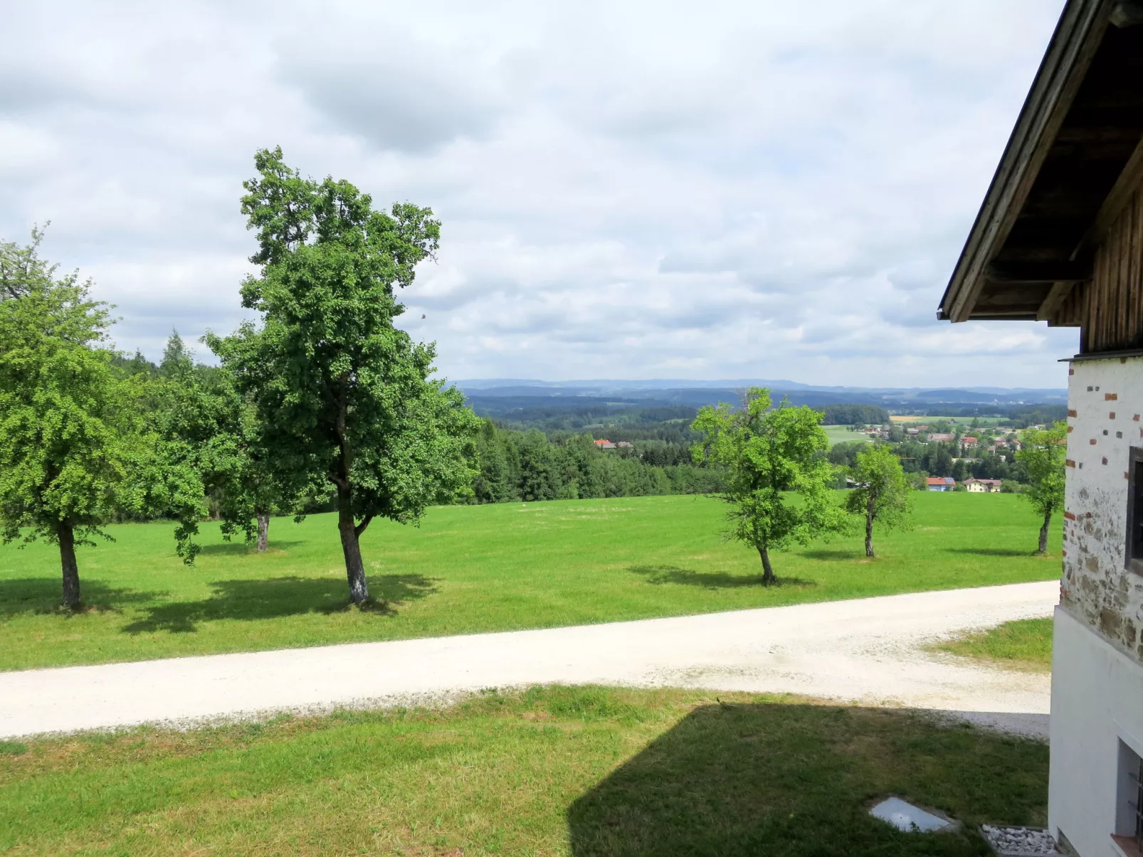 Lehner im Wald-Outside