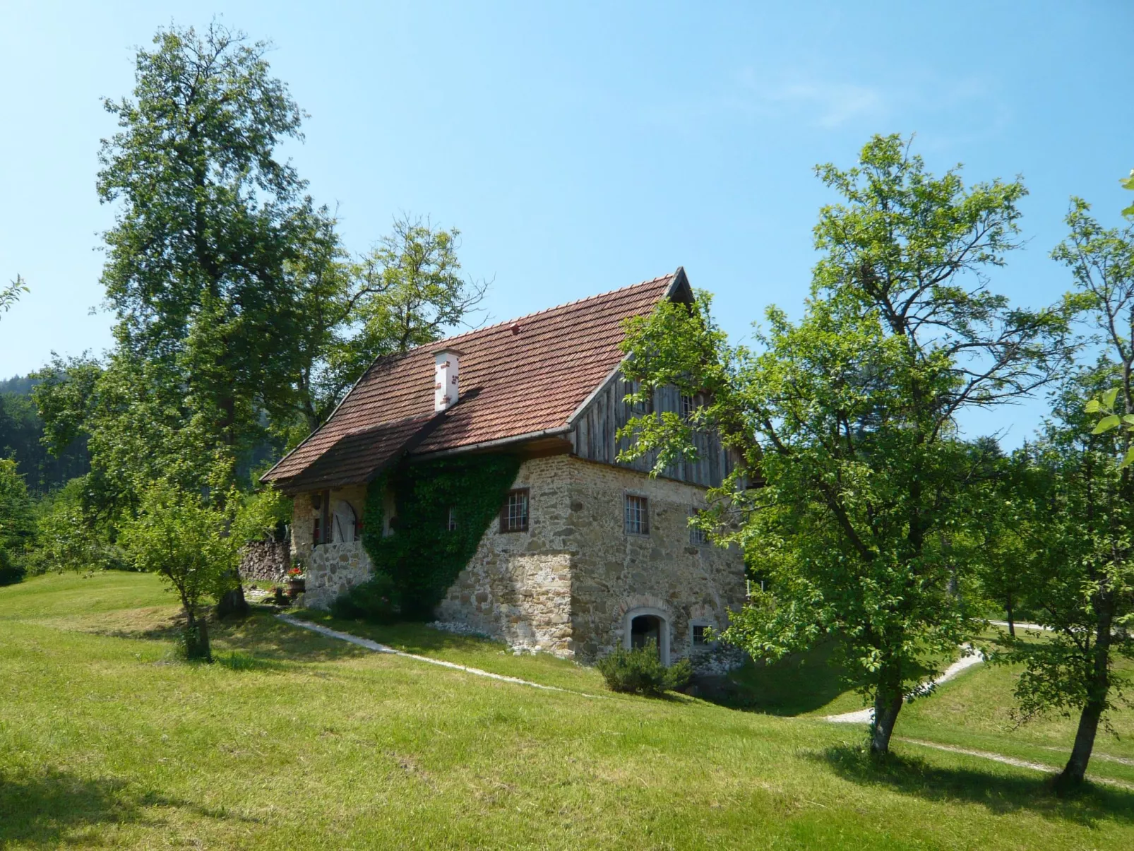 Lehner im Wald-Outside