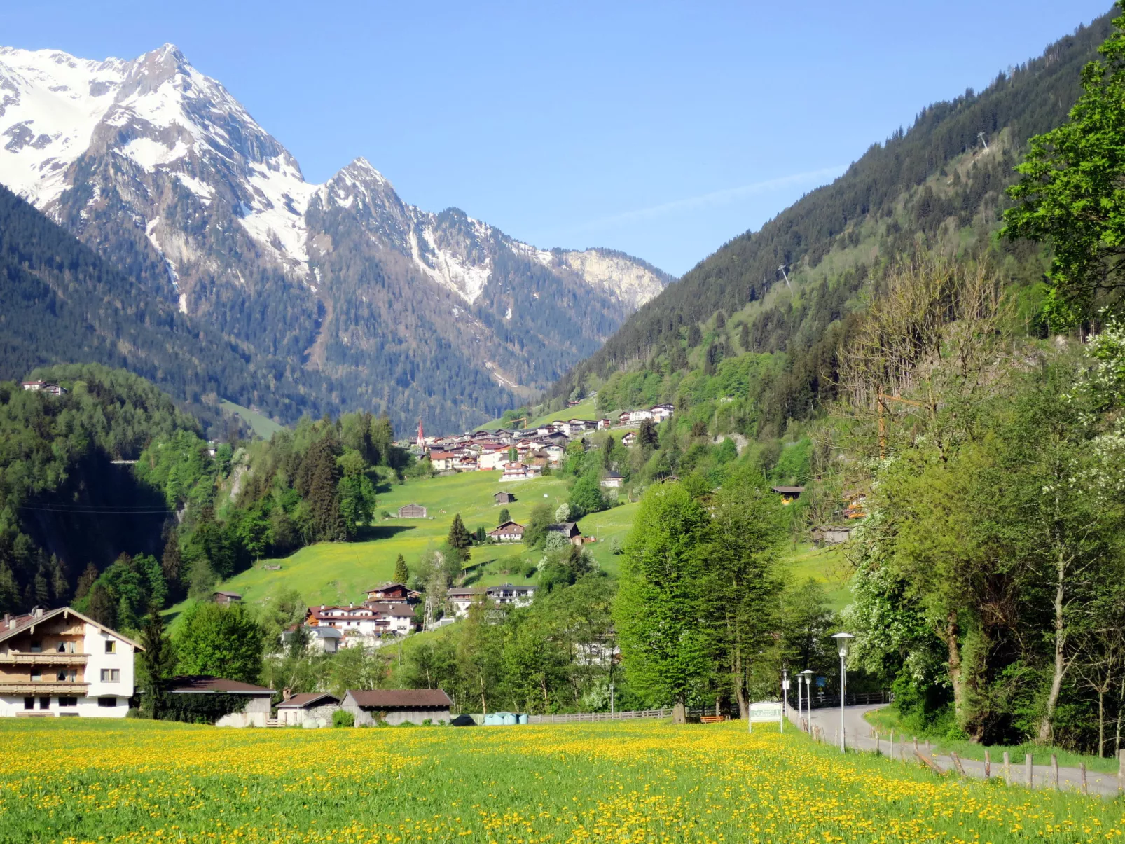 Oberhaus-Area