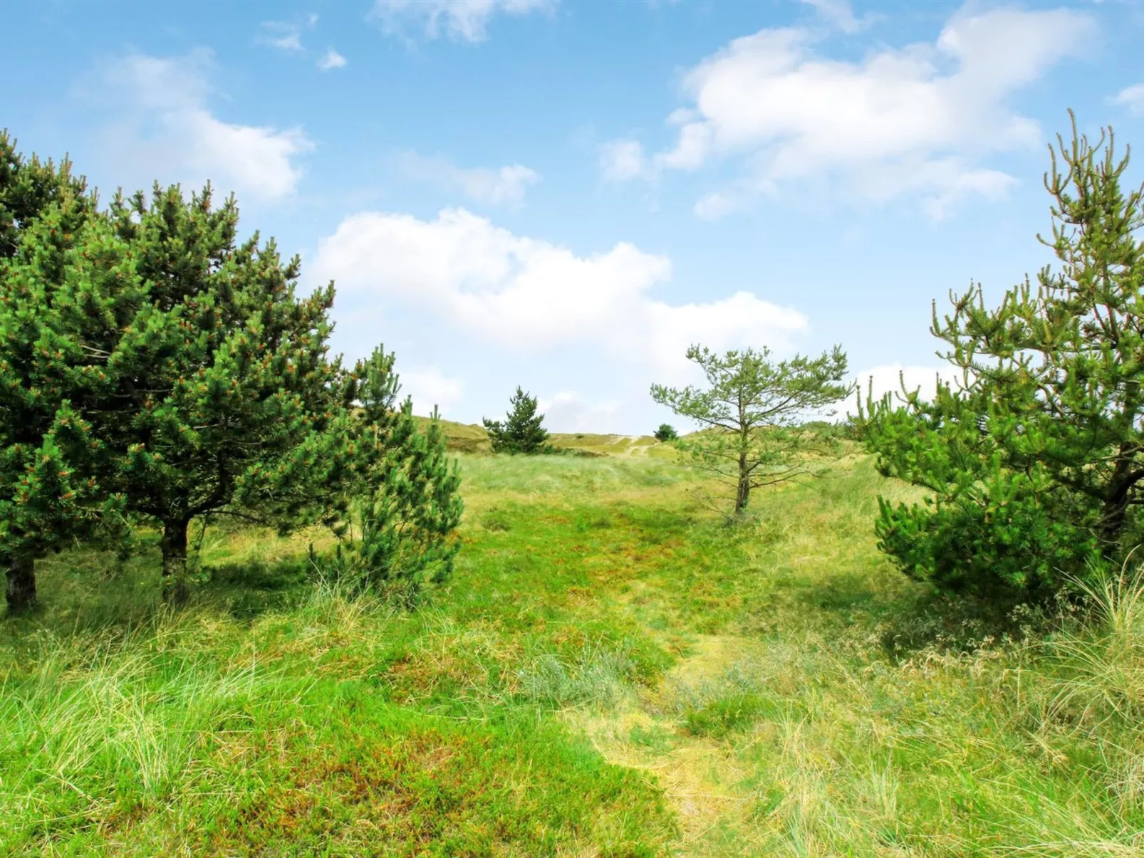 "Juste" - 2.2km from the sea-Draußen
