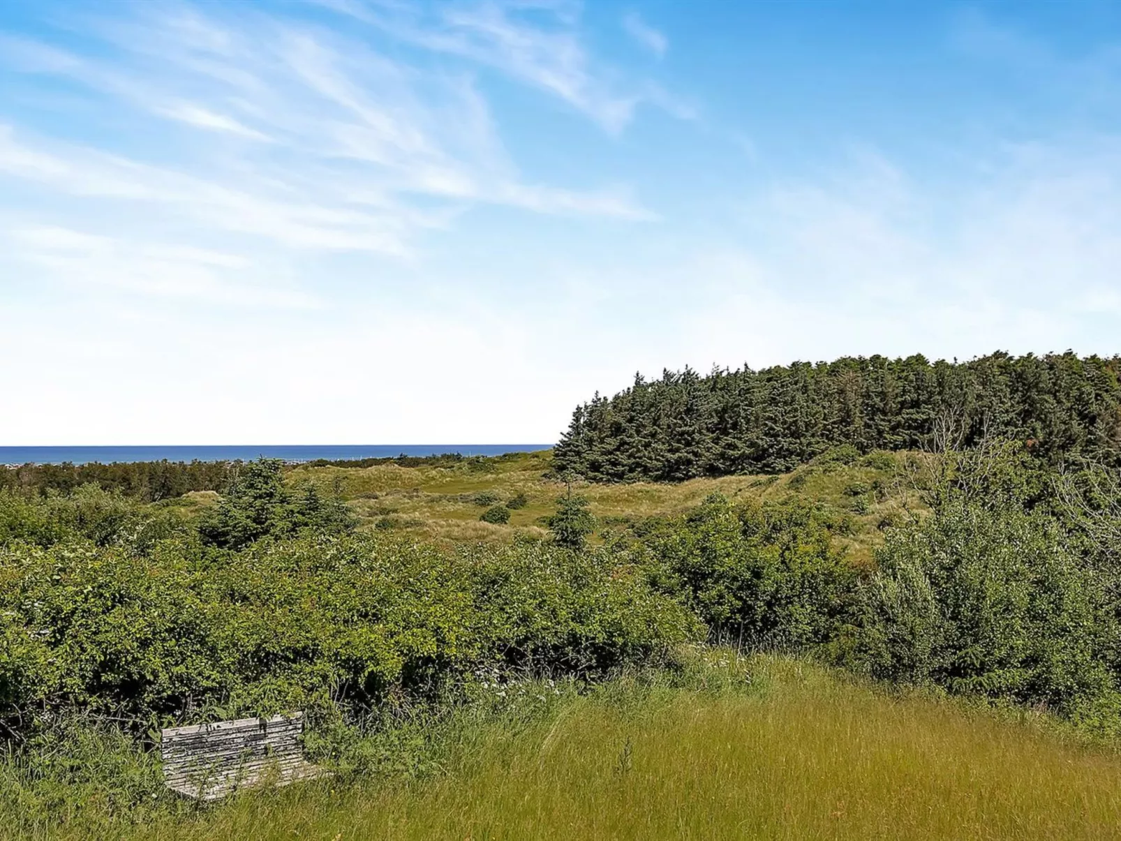 "Gildo" - 932m from the sea-Inside