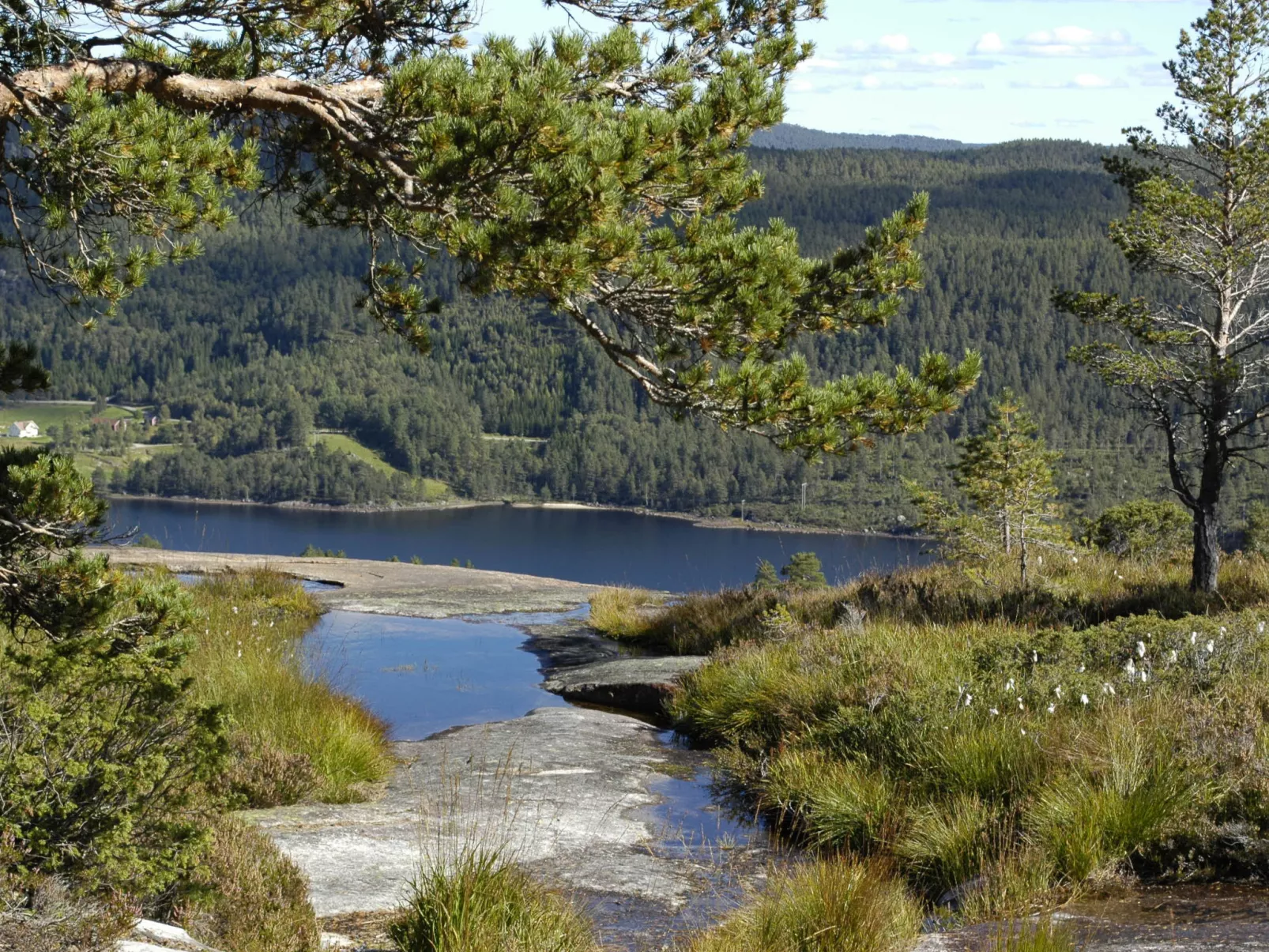 Bakketoppen-Outside
