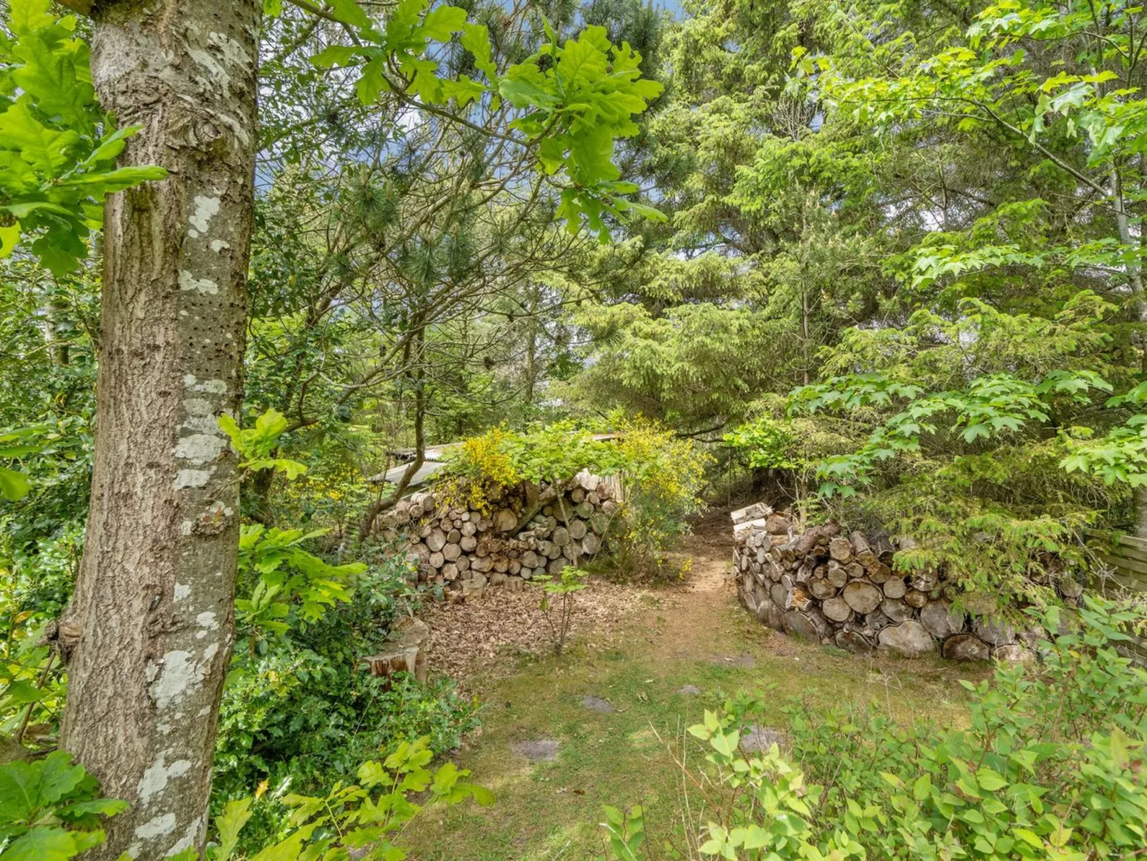 "Elevine" - 300m to the inlet-Outside