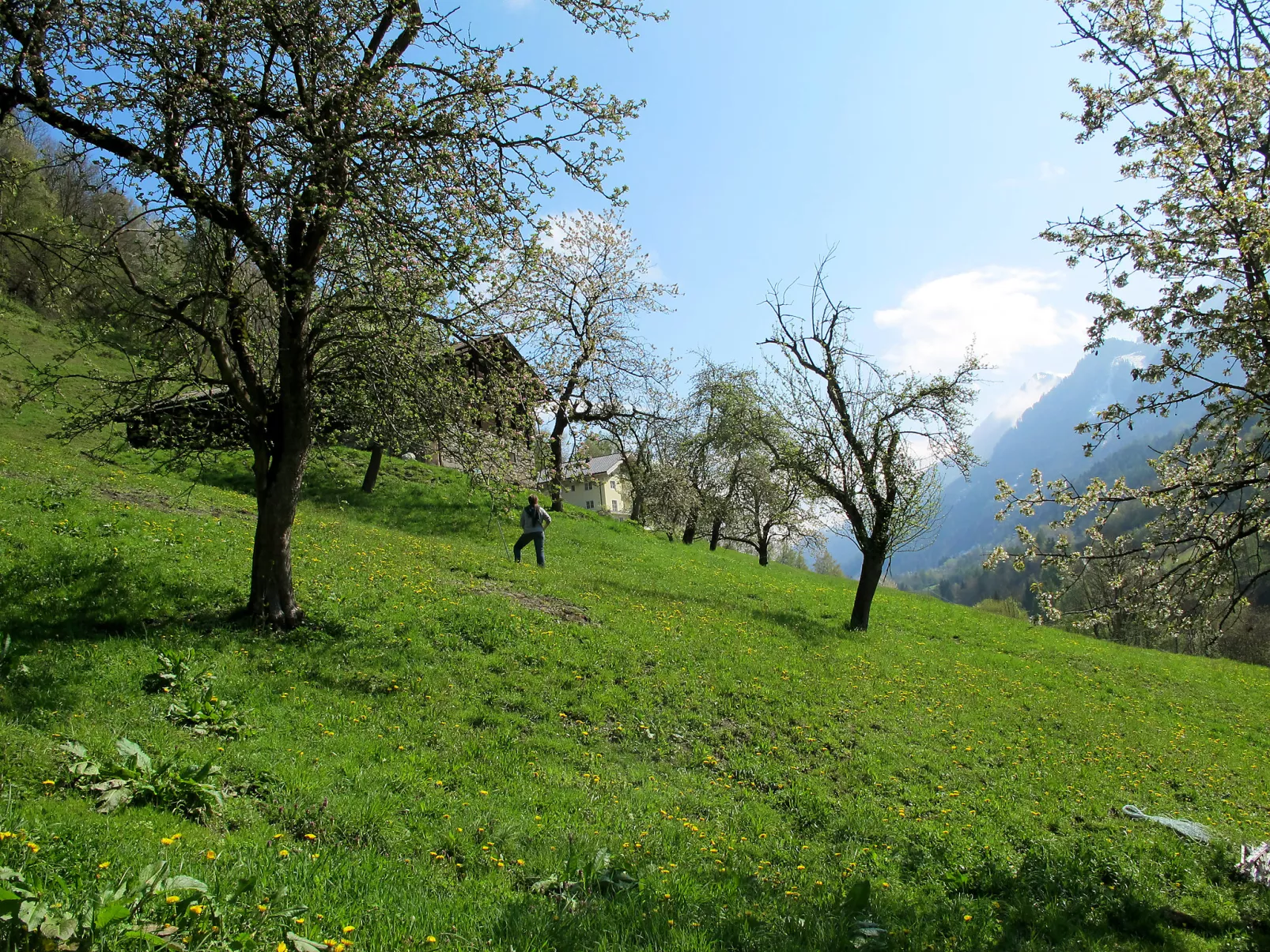 Achtalgut-Dehors