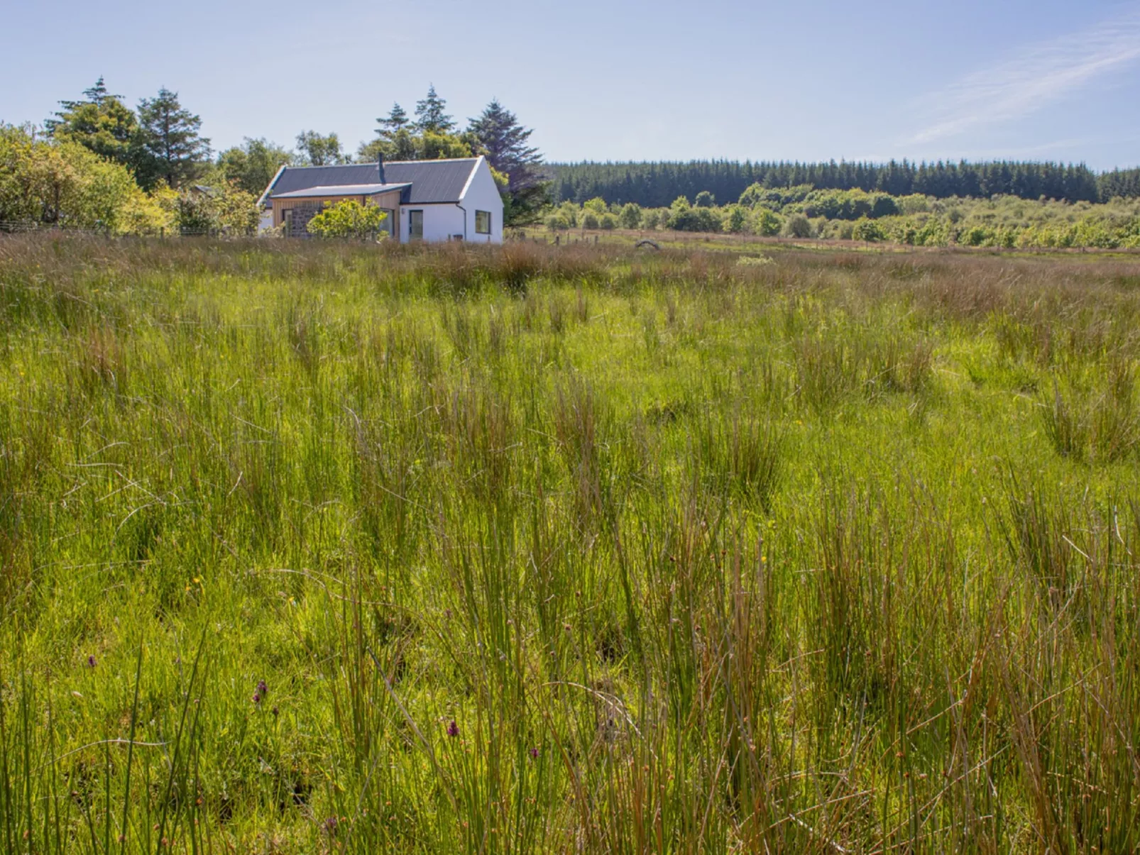 Finnan's Byre-Outside