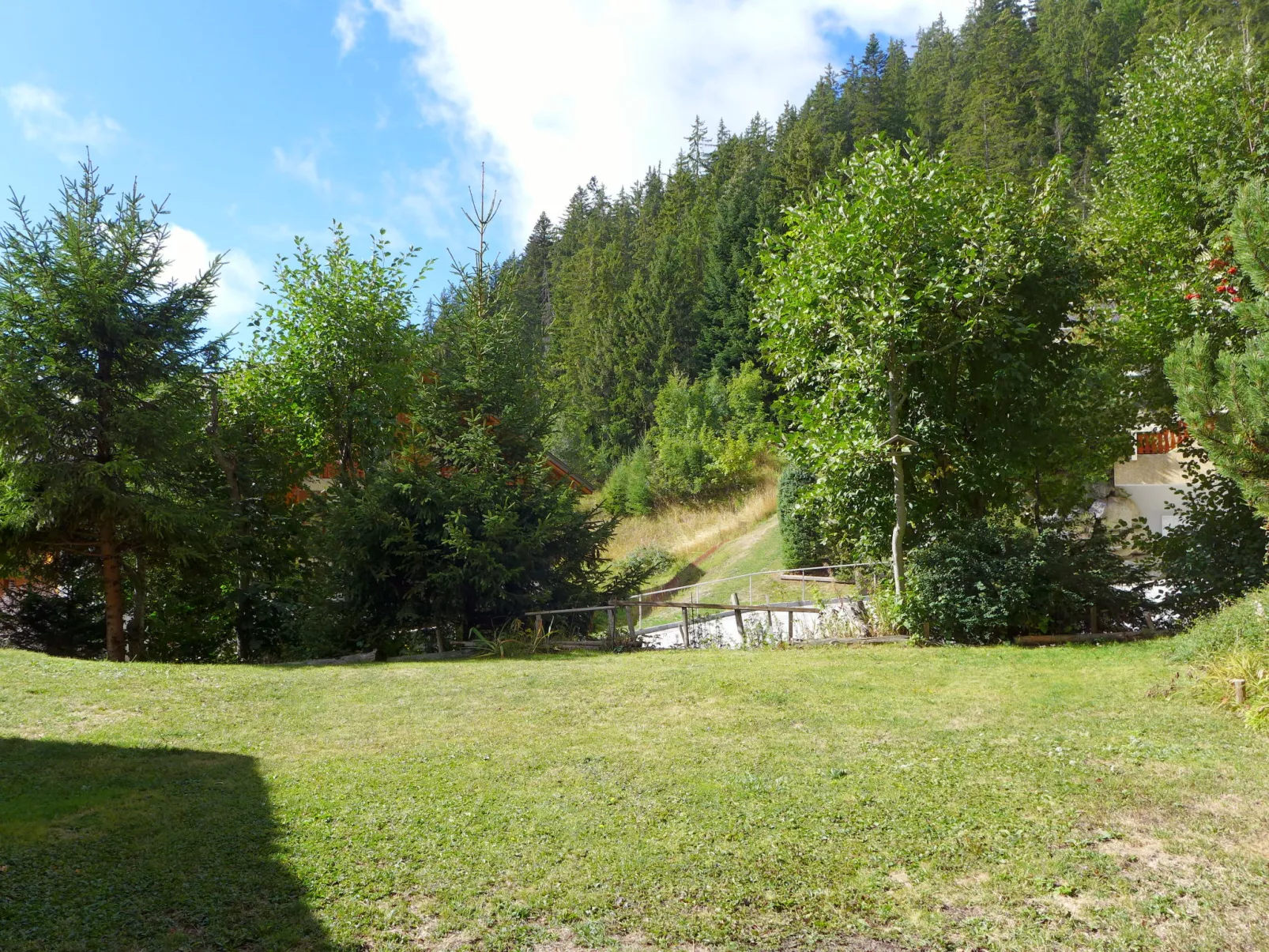 Le Torrent 1
