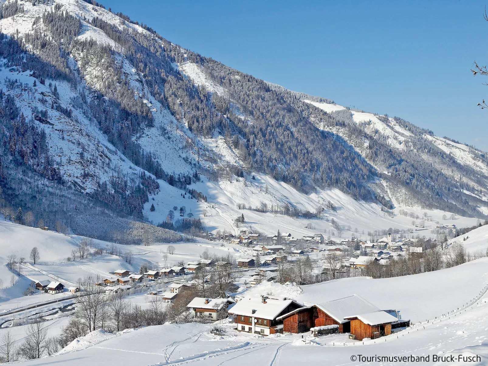 Wallner-Area