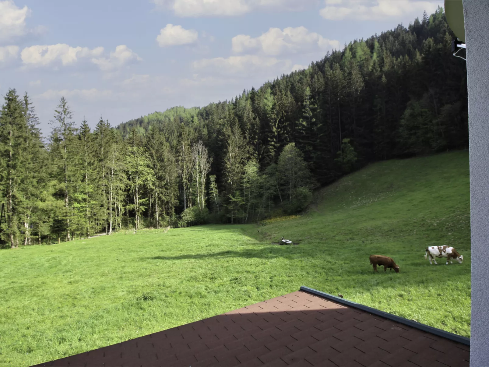 Krechen Alm-Draußen