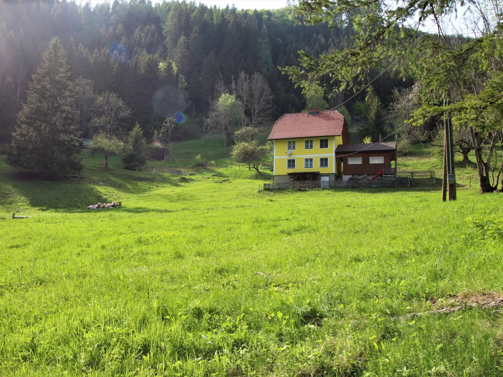 Krechen Alm-Draußen