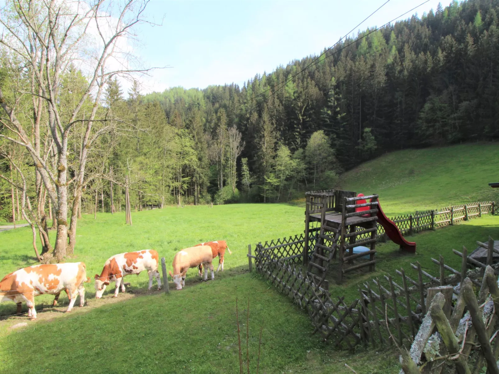 Krechen Alm-Draußen