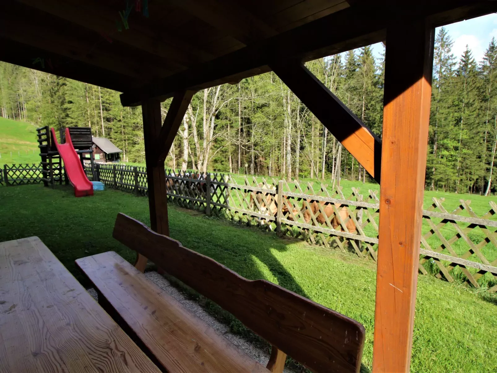 Krechen Alm-Draußen