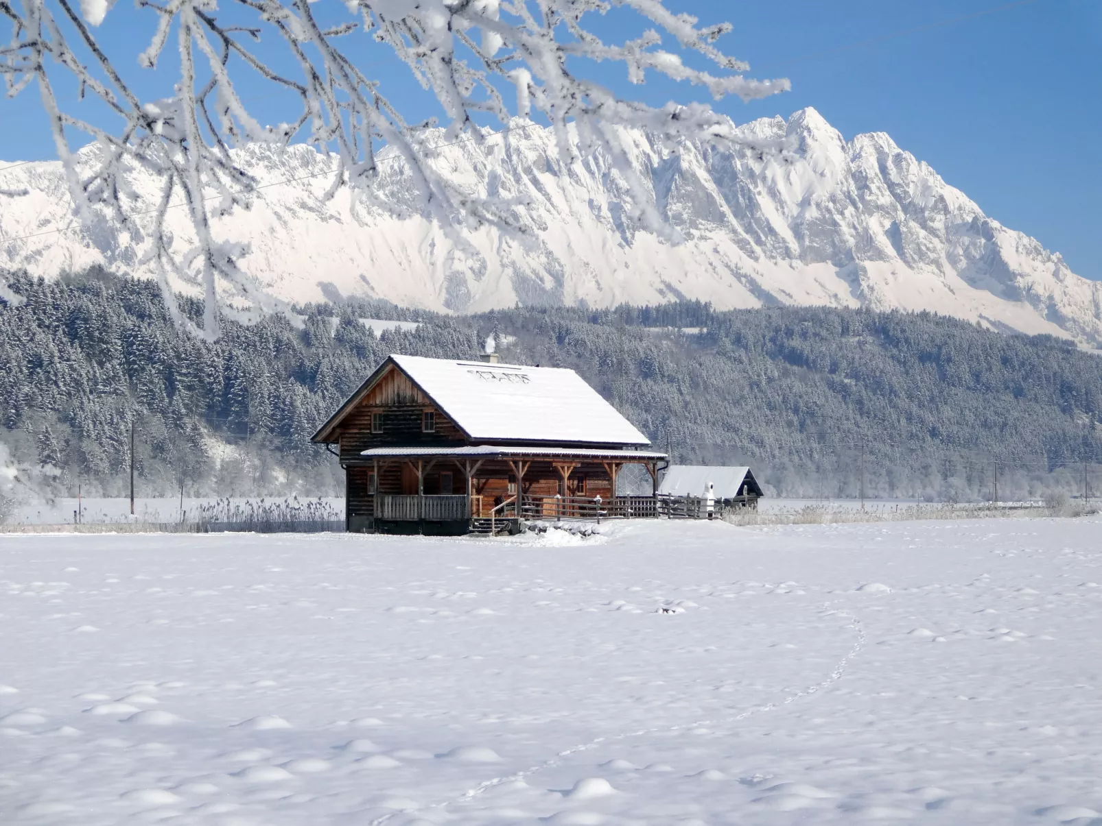 Steiners Blockhütte-Outside